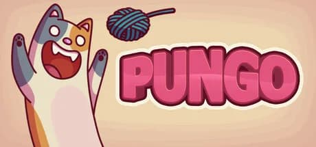 Pungo görsel 1