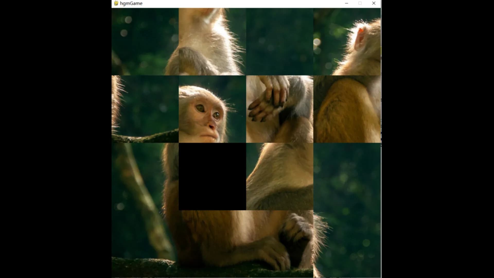 hgmGame-monkey görsel 2