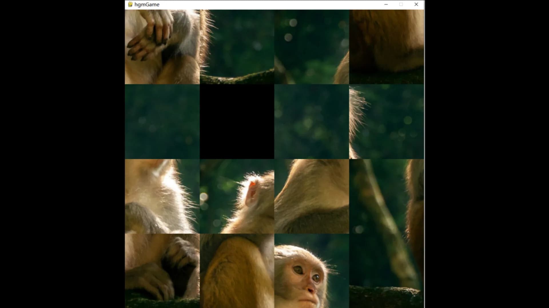 hgmGame-monkey görsel 5