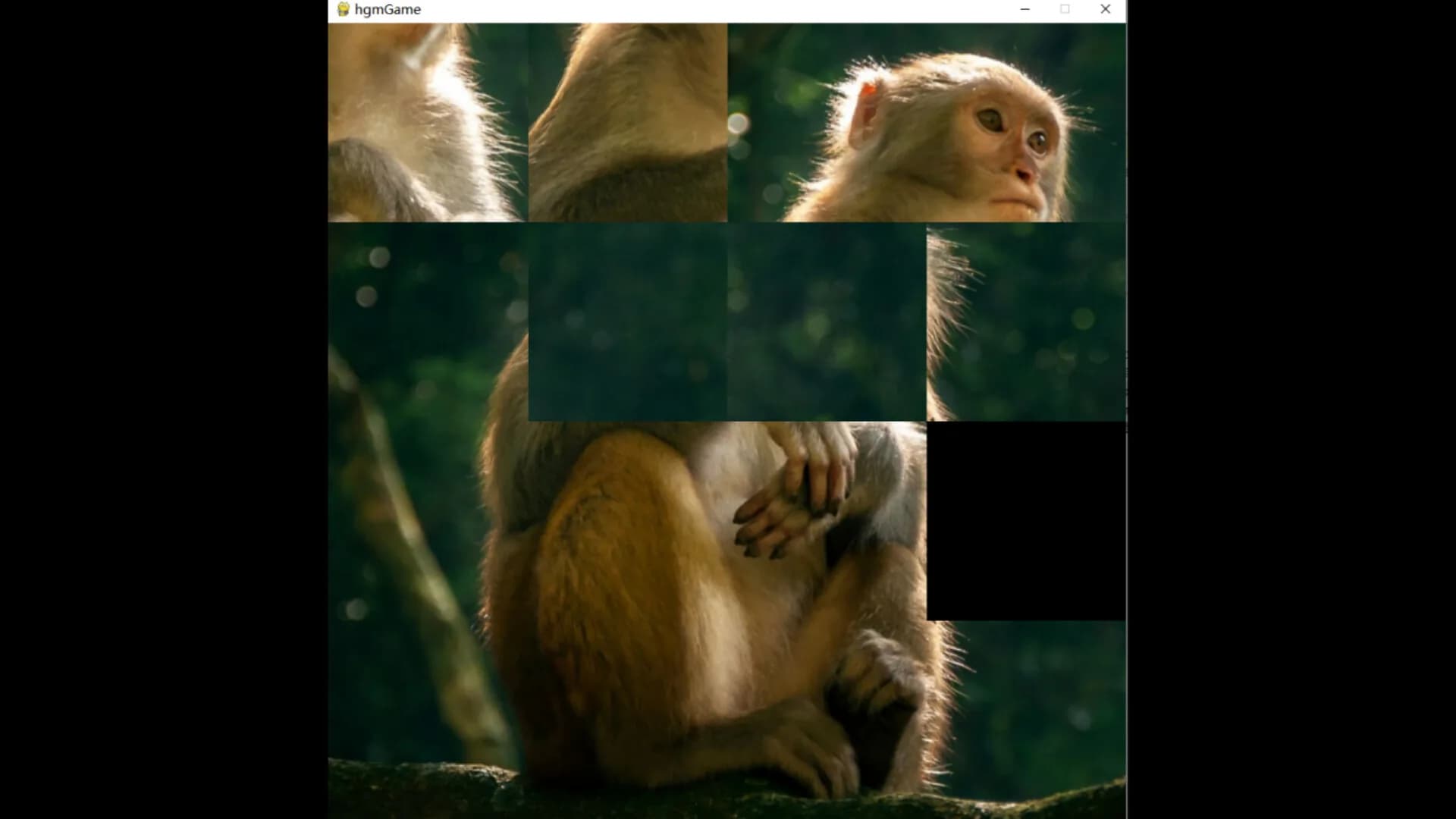hgmGame-monkey görsel 6