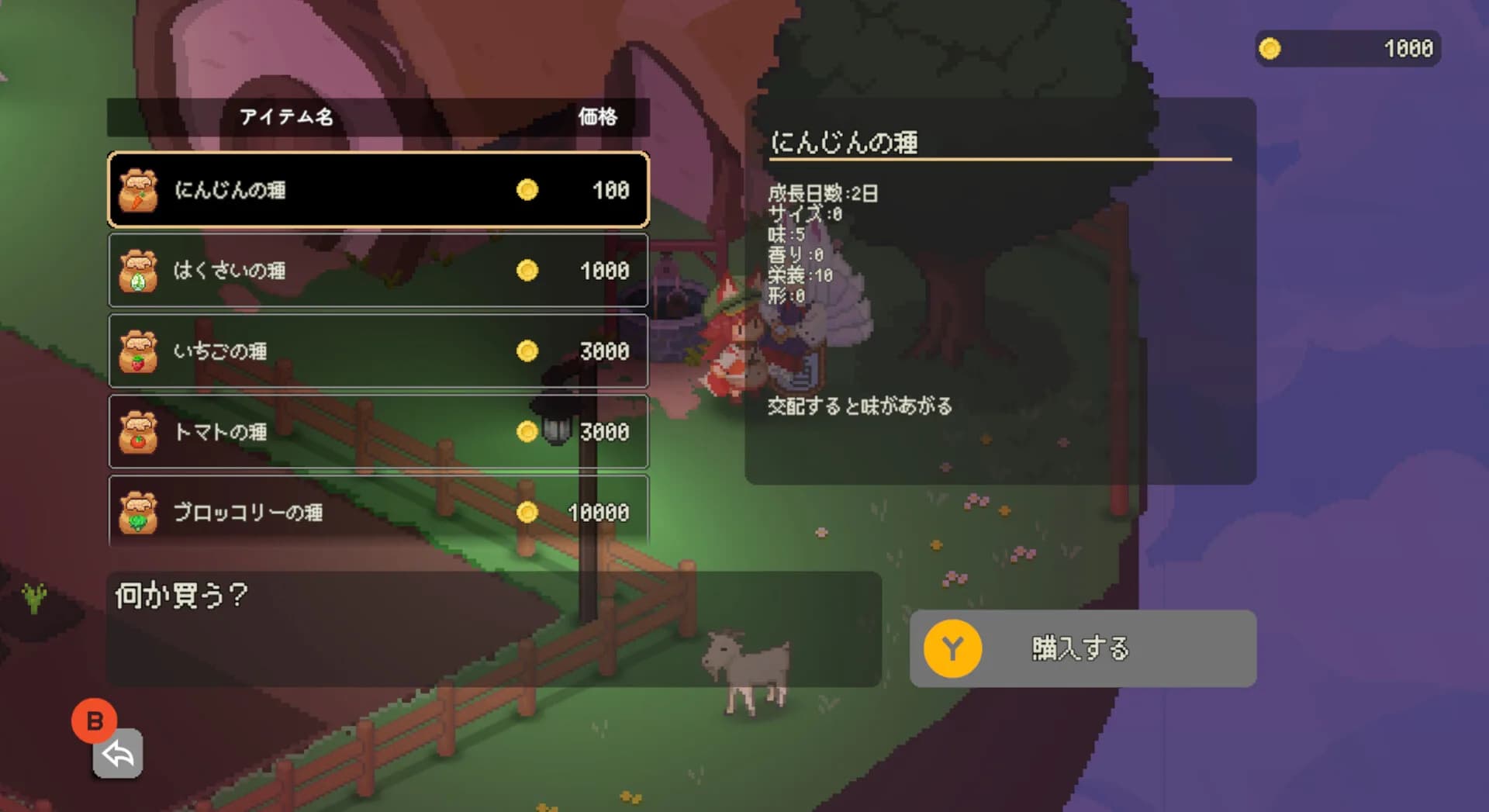 空島ノーカ görsel 5