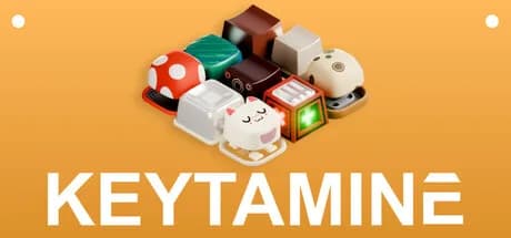 Keytamine görsel 1