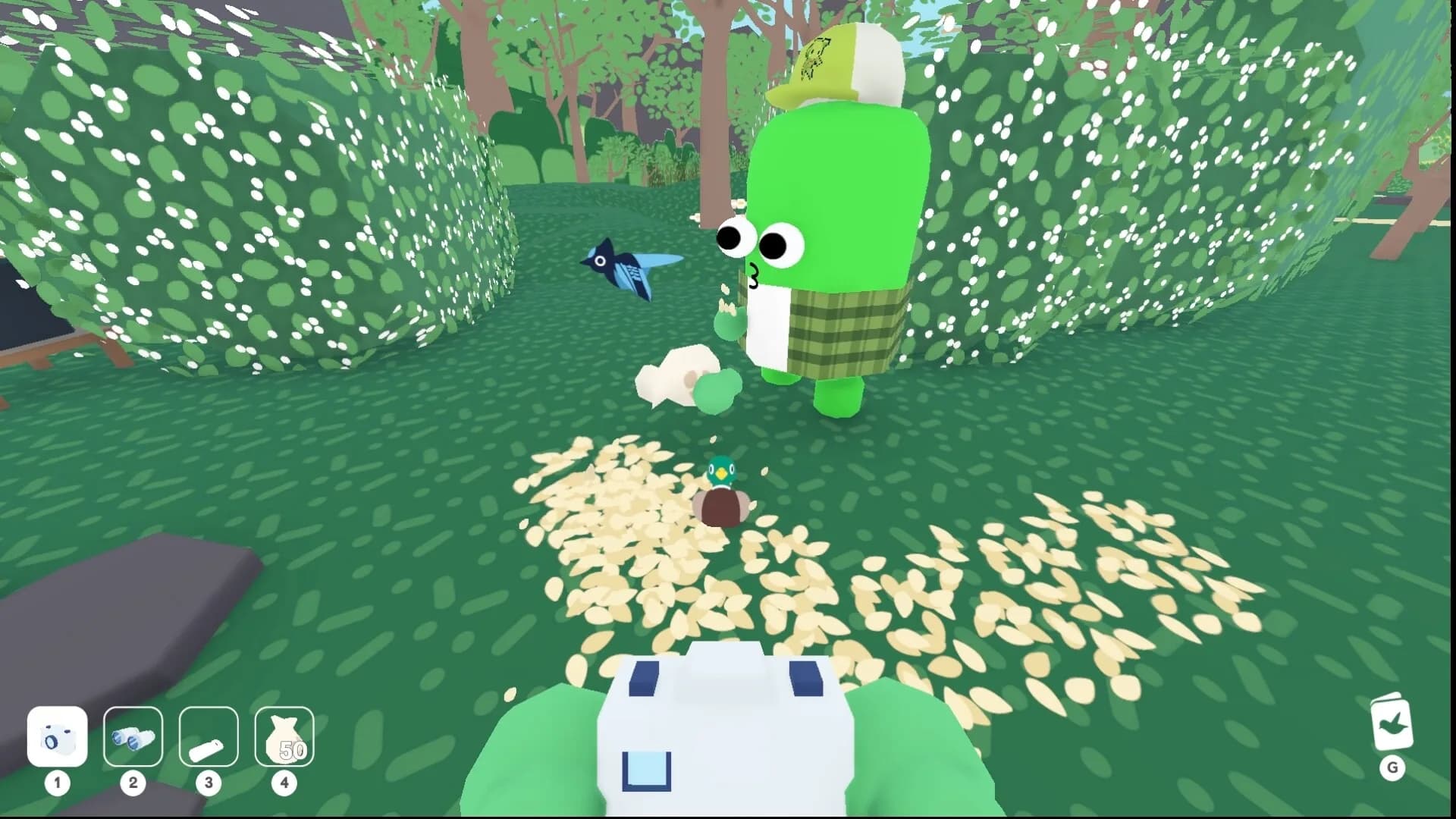 Flock Around görsel 2