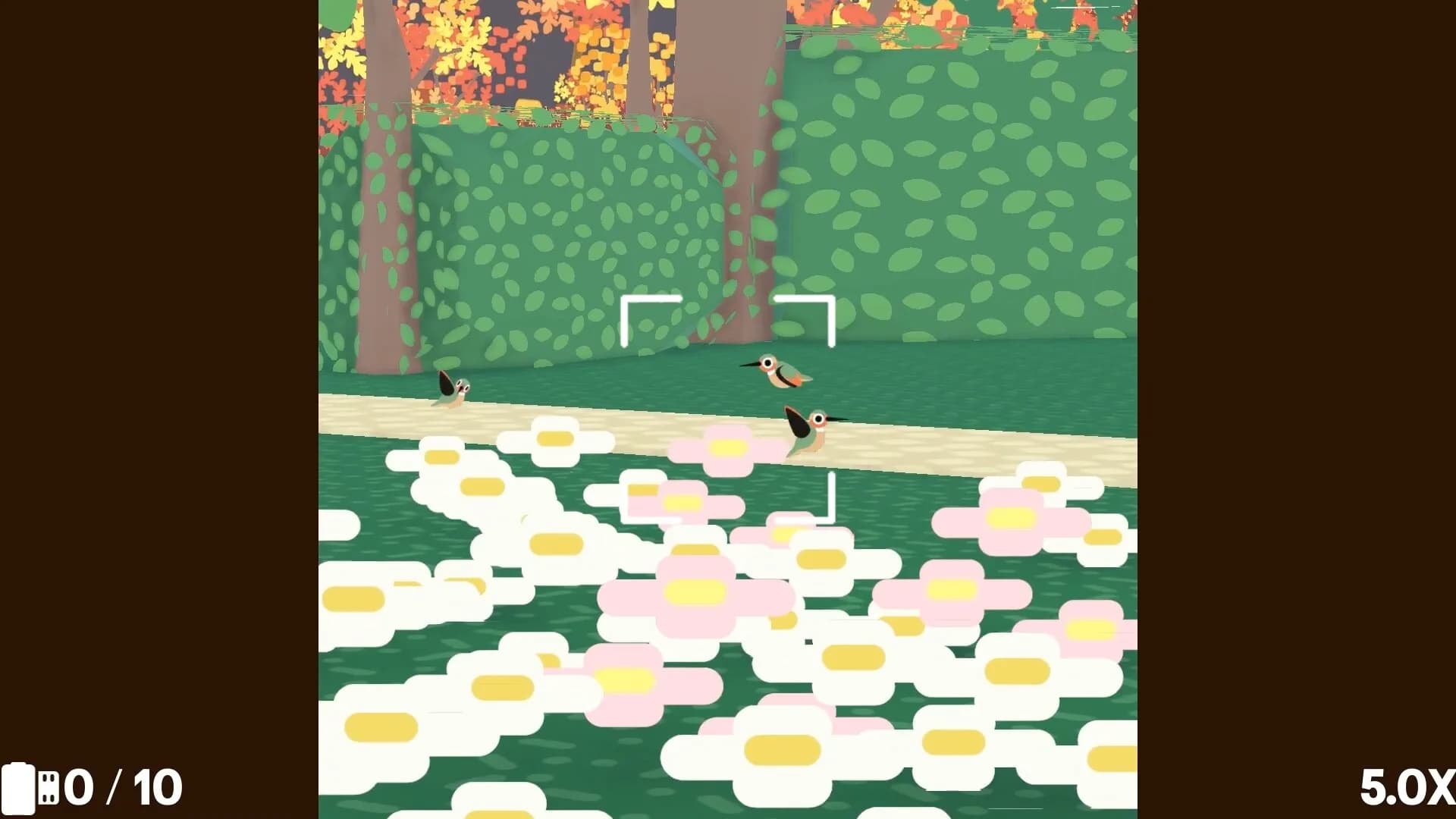 Flock Around görsel 10