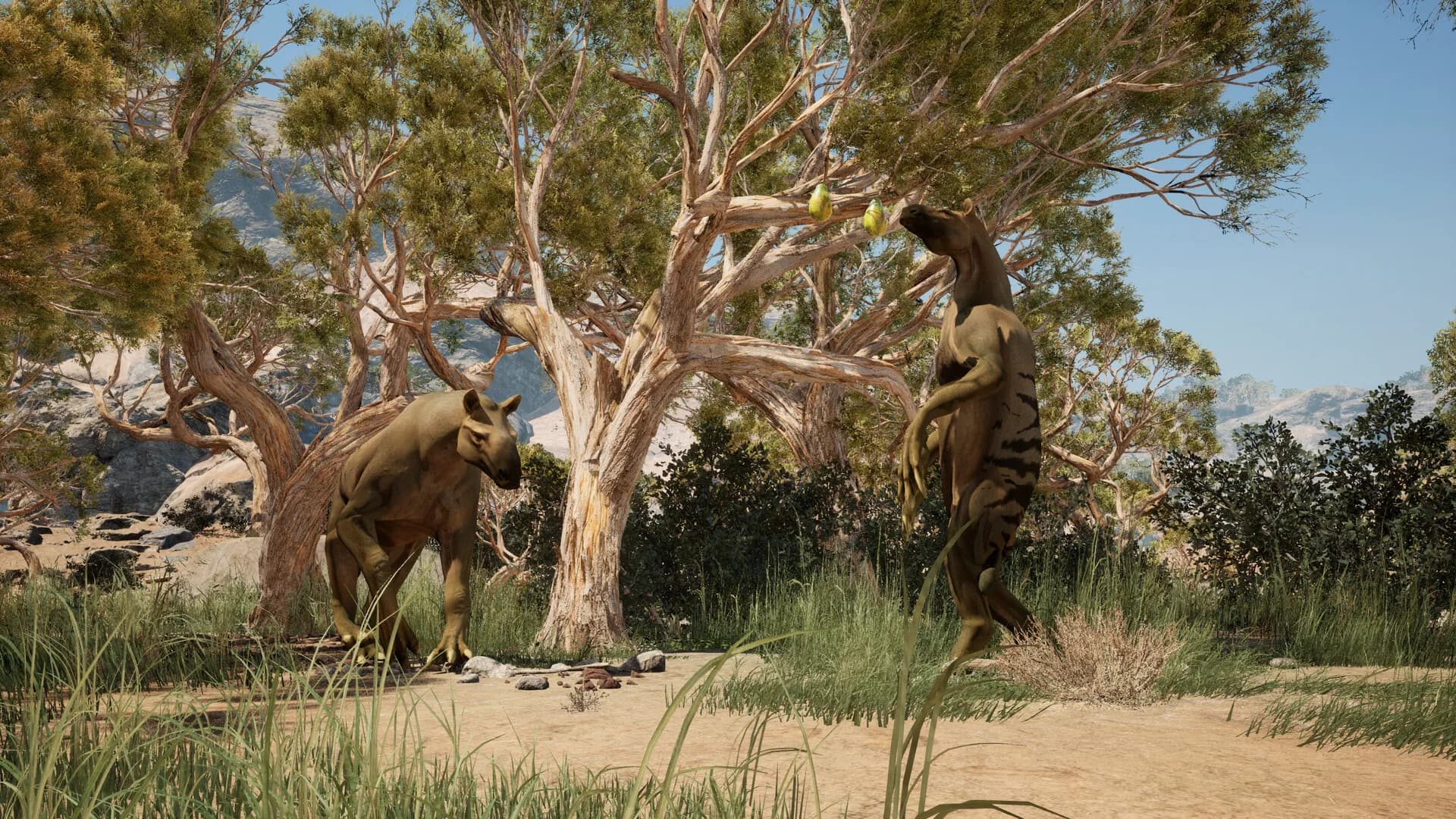 Primal Survival görsel 9