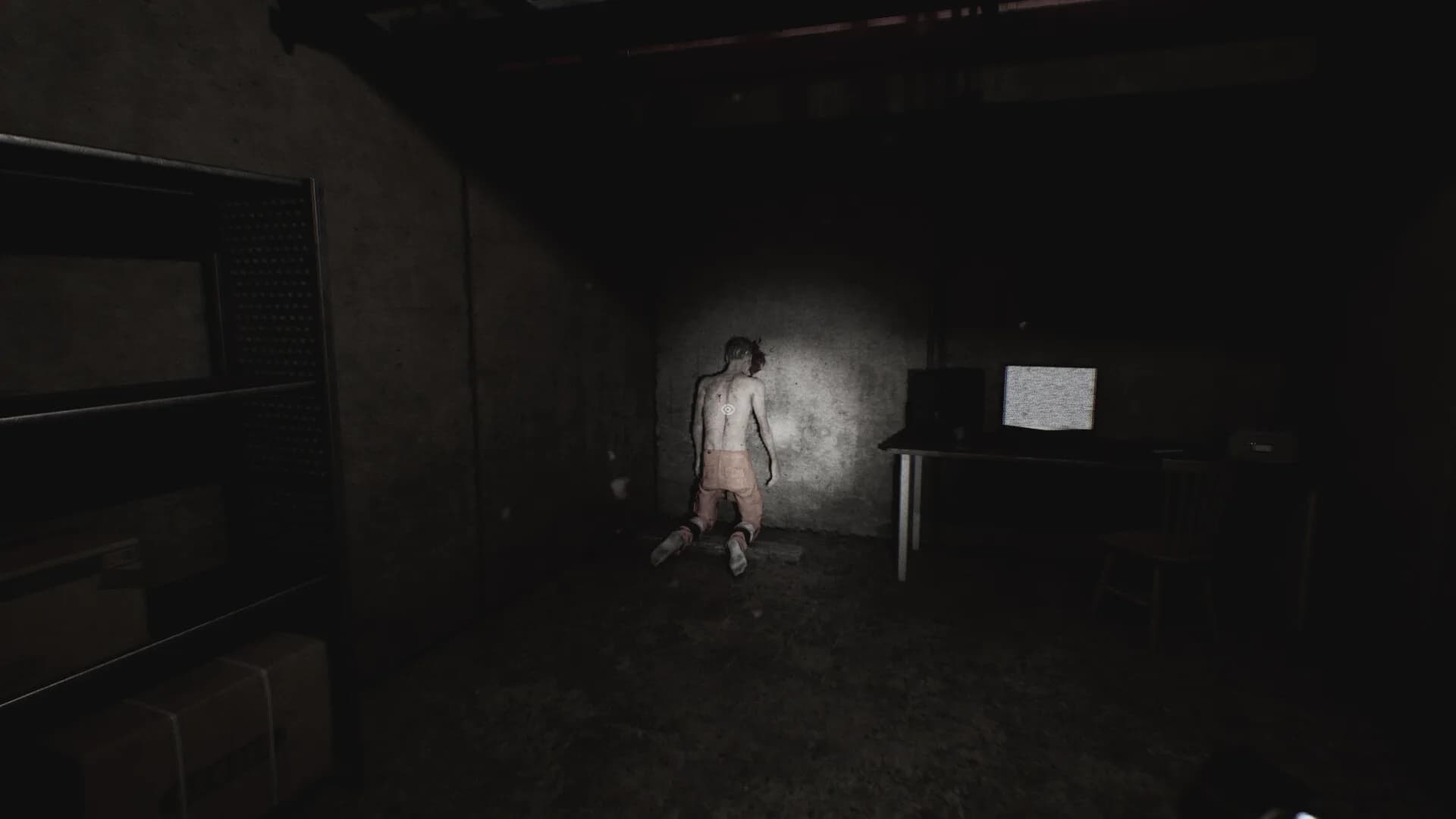 Moth görsel 5