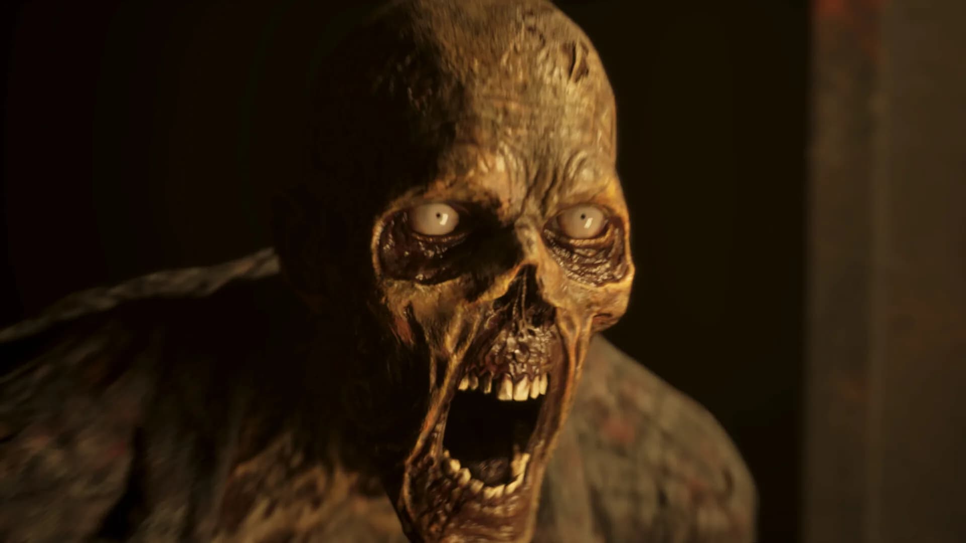 Zombie Ship görsel 7