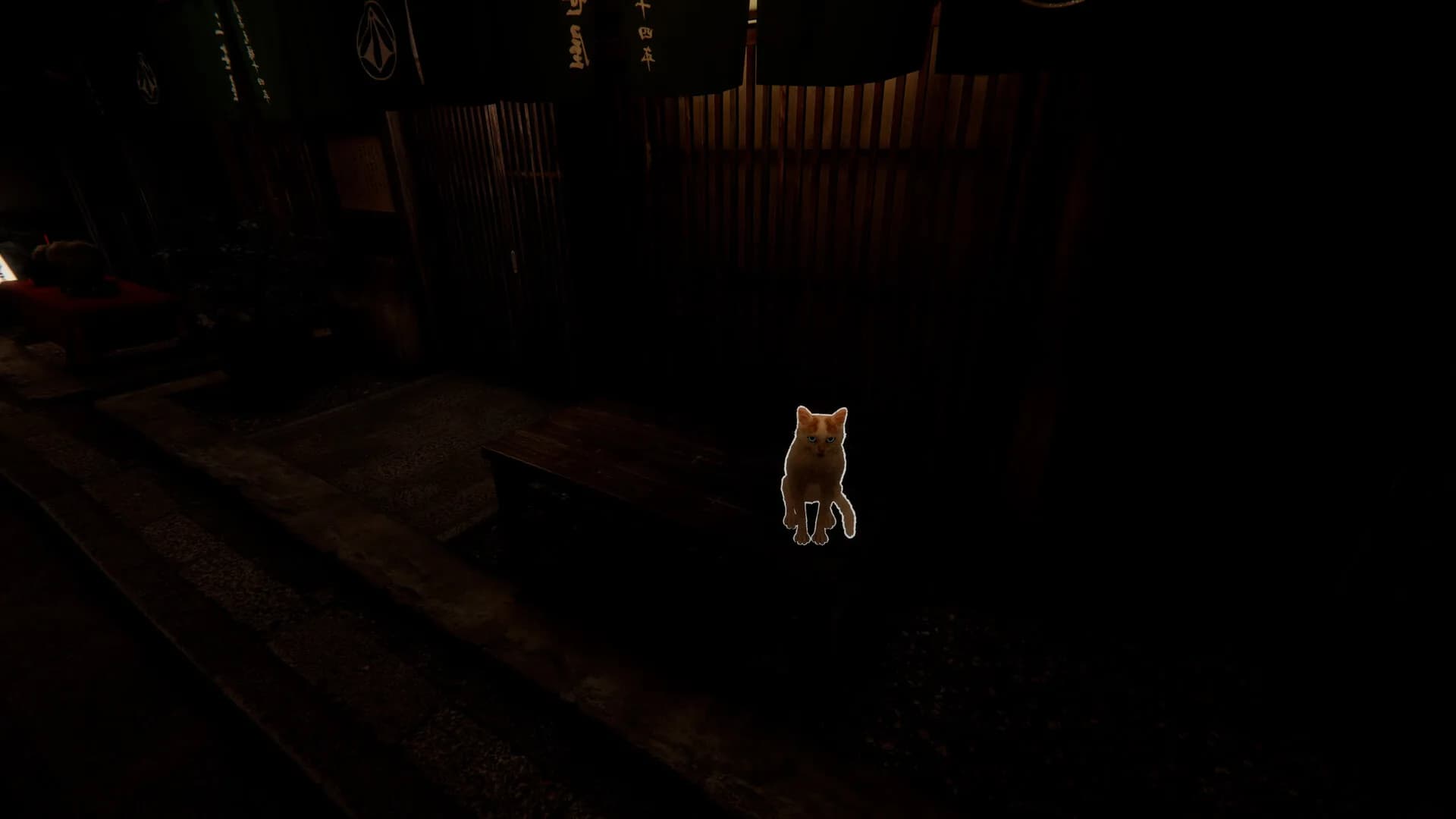 Kyoto Anomaly görsel 5