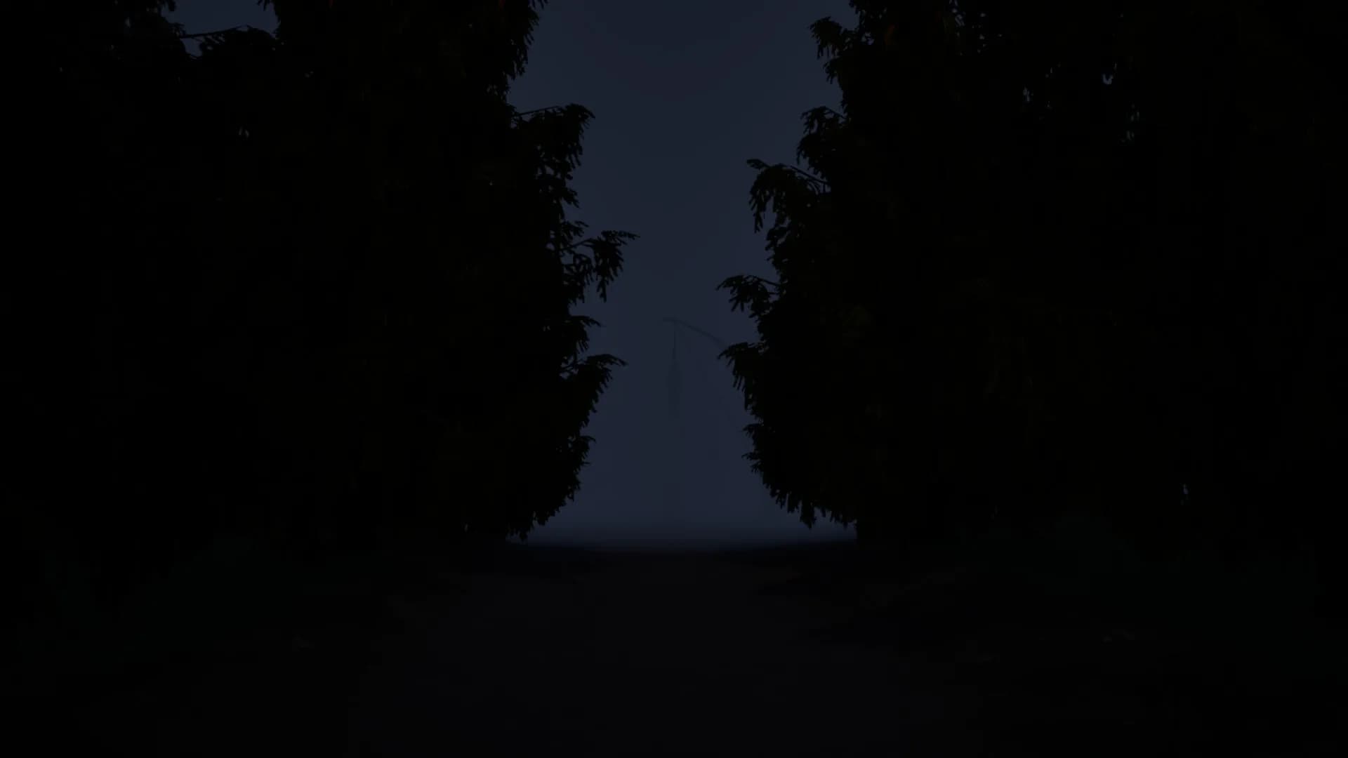 Insanity Within görsel 12