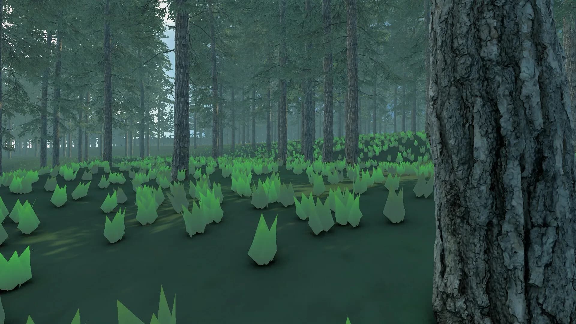 Orienteering VR görsel 2