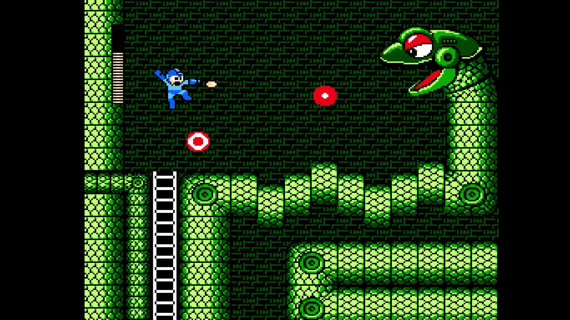Mega Man Legacy Collection görsel 8