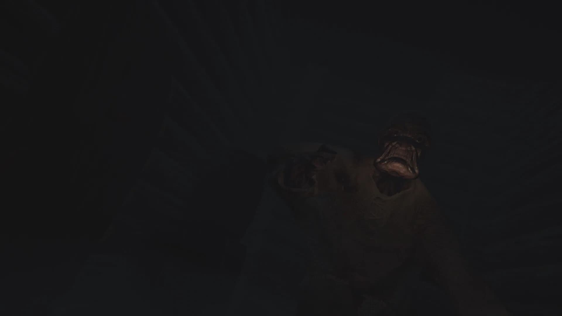 DEMONK görsel 7