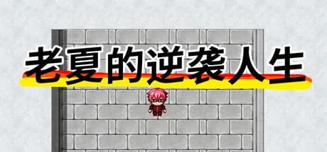 老夏的逆袭人生