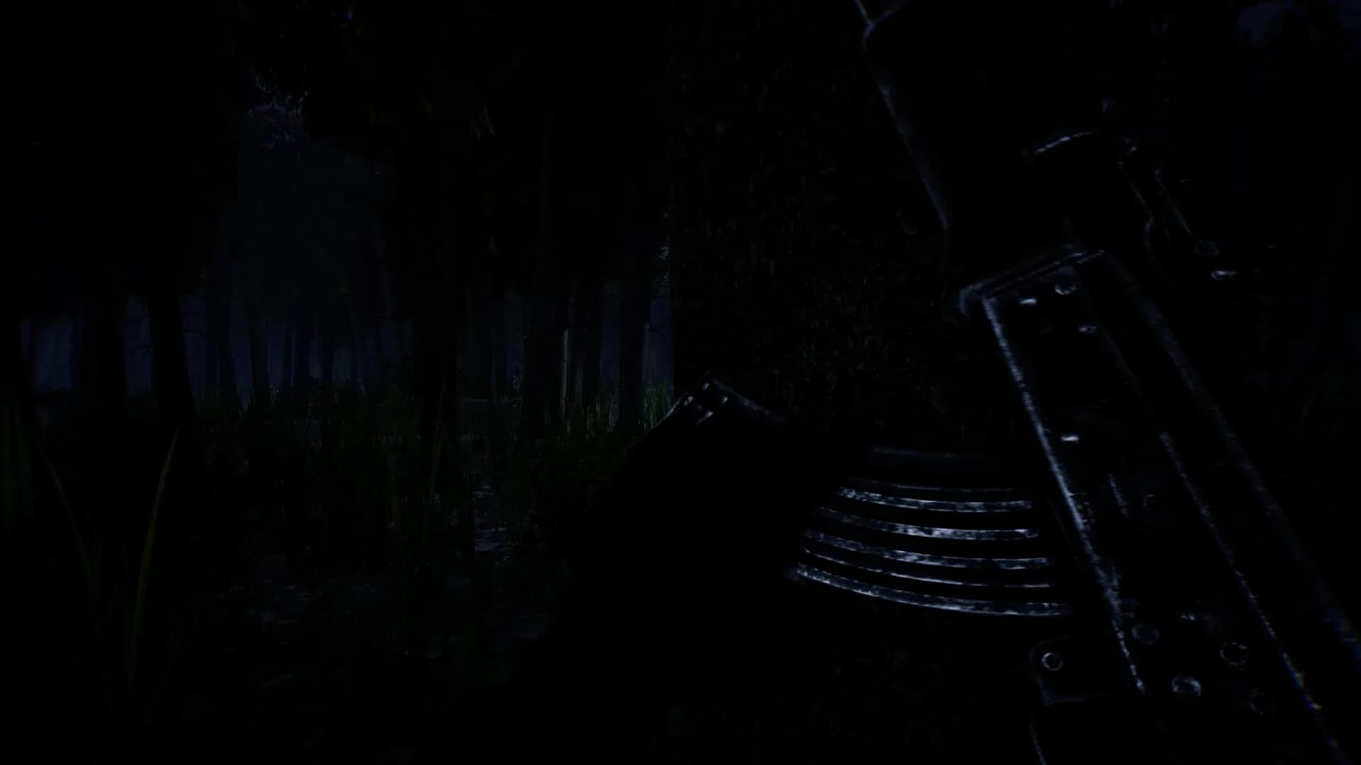 Forest görsel 2