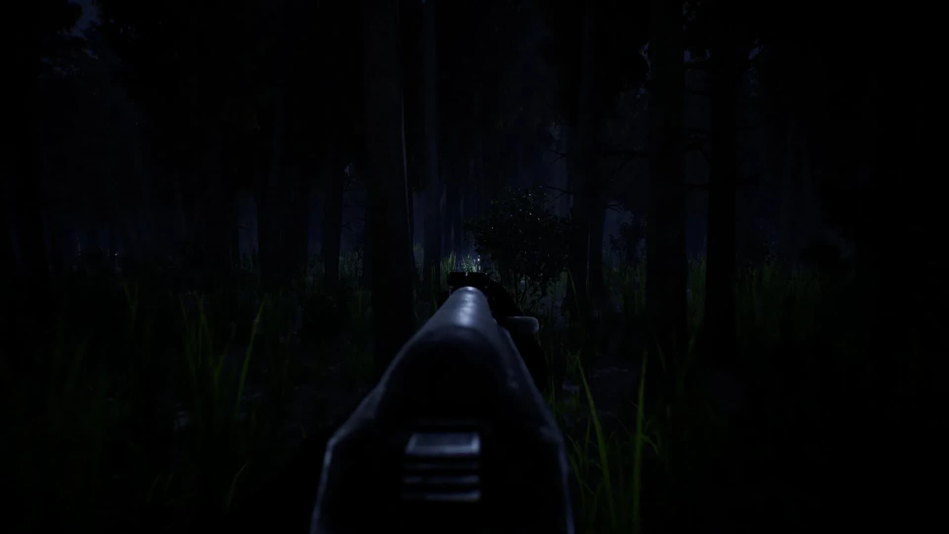 Forest görsel 3