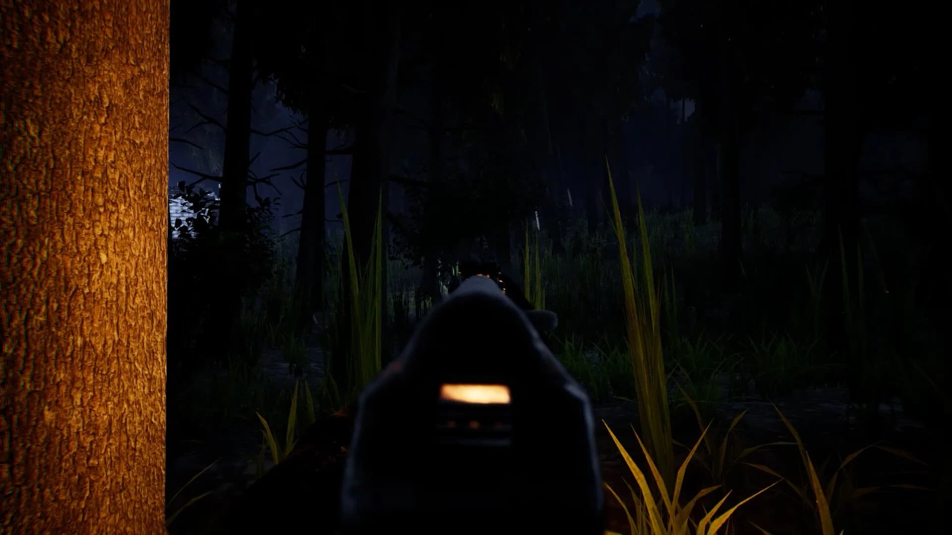 Forest görsel 6