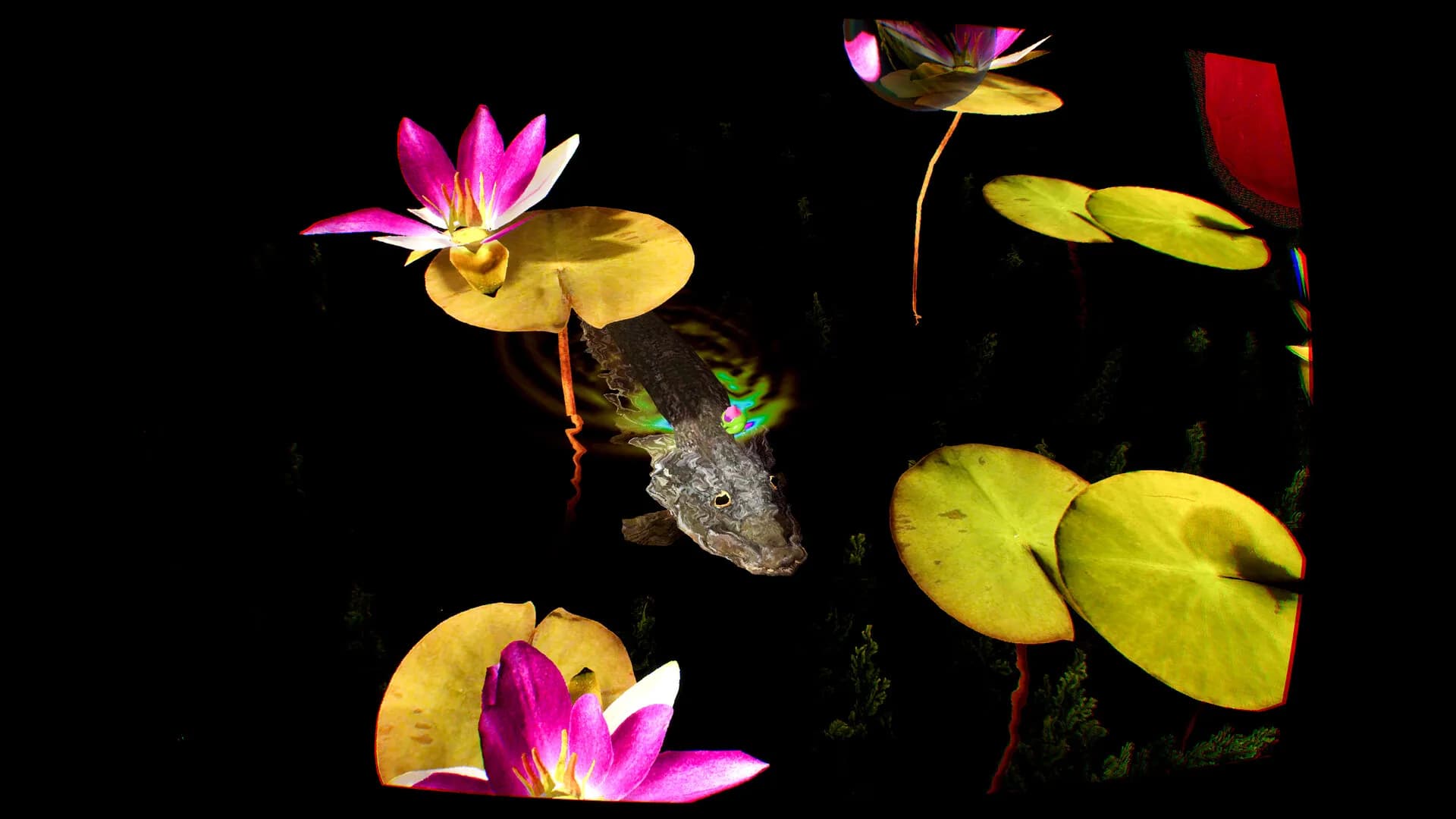 Grenouilles 3D görsel 5