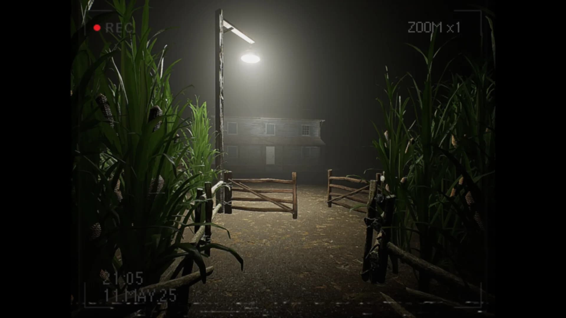 What Happened to Lily? görsel 3