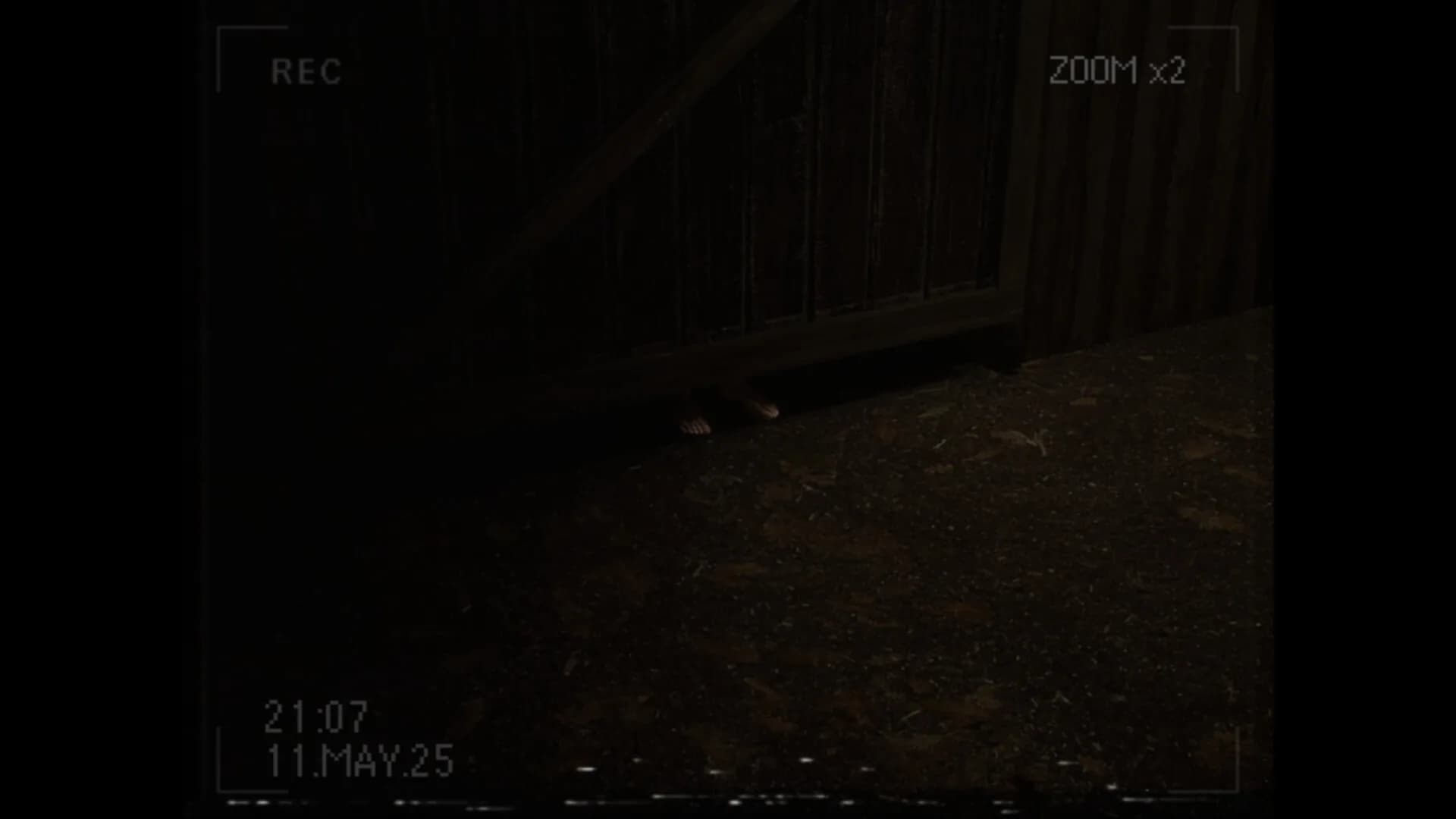What Happened to Lily? görsel 6