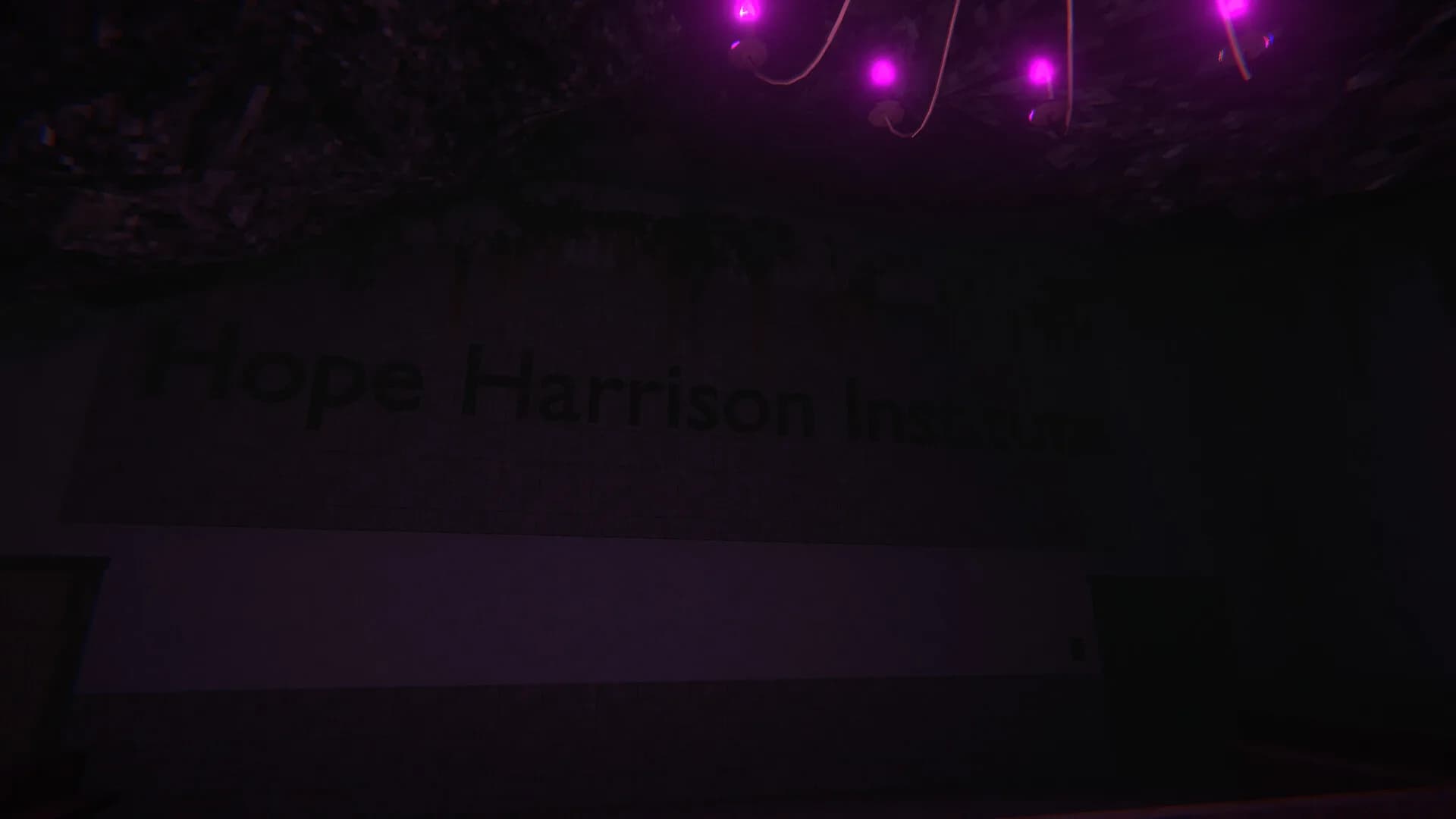Hope Harrison görsel 4