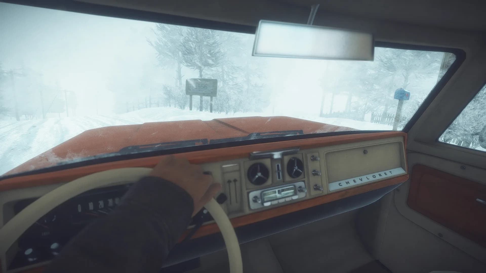 Kona görsel 3