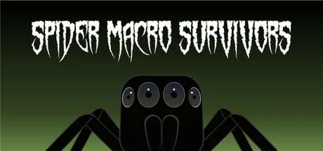 Spider Macro Survivors
