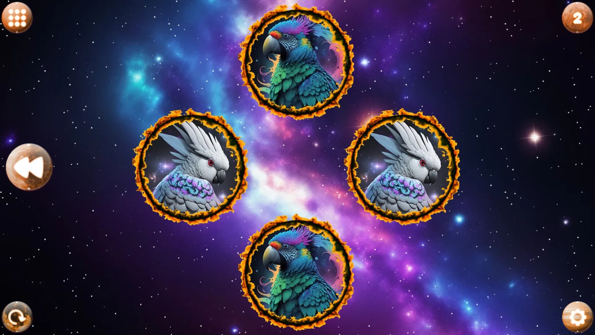 Space Memory: Parrots görsel 2