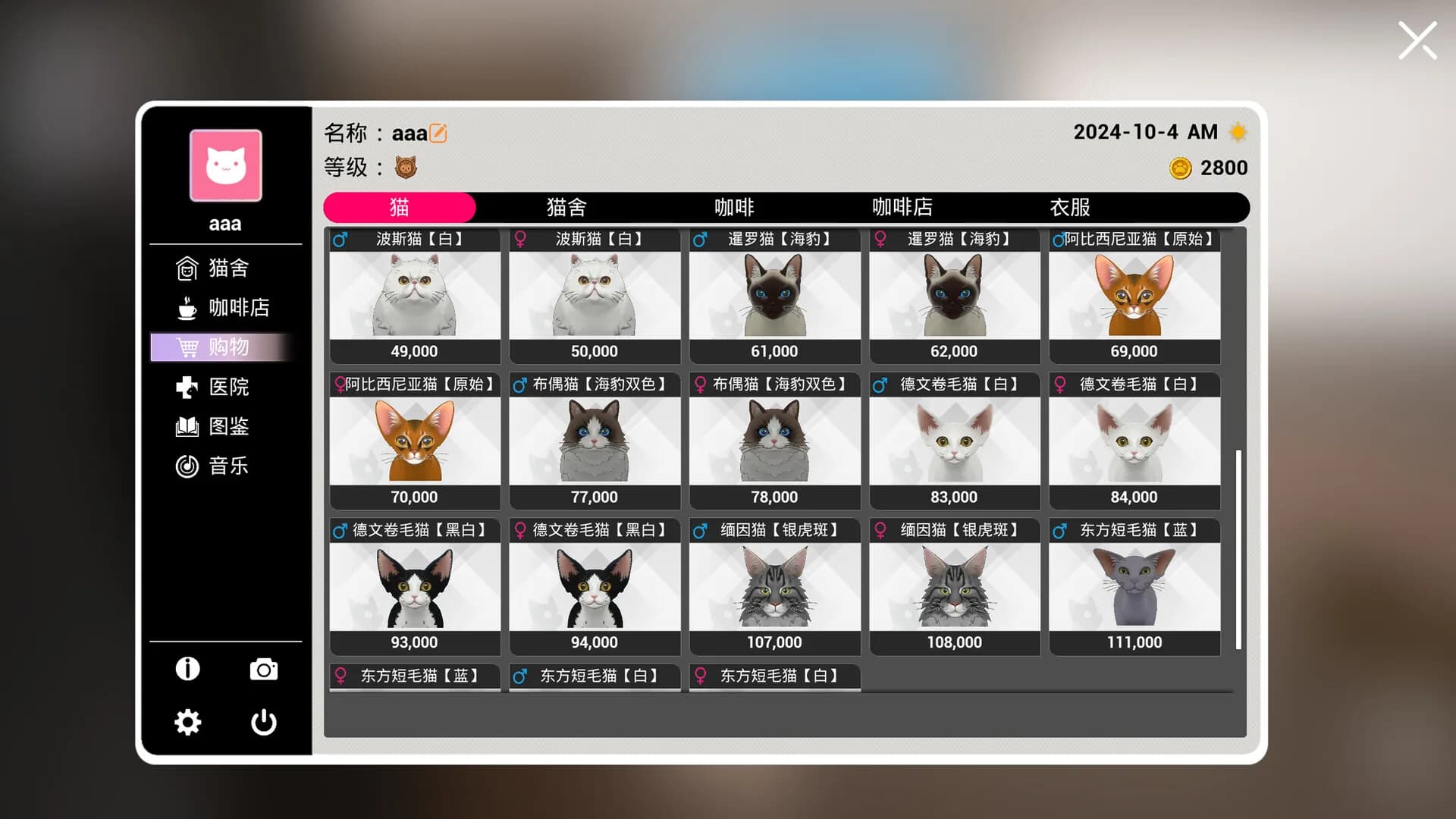 Cat Home görsel 3