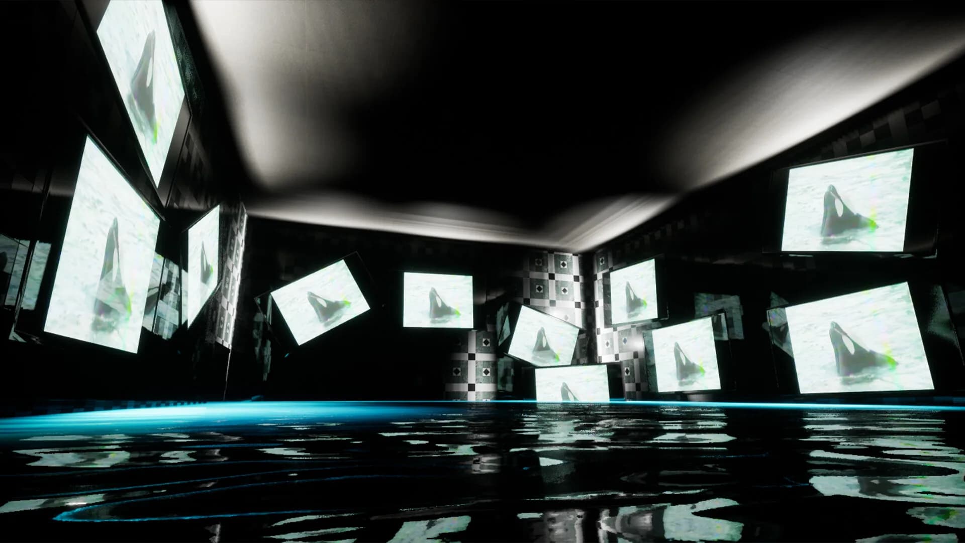 AQUARIUMS görsel 4