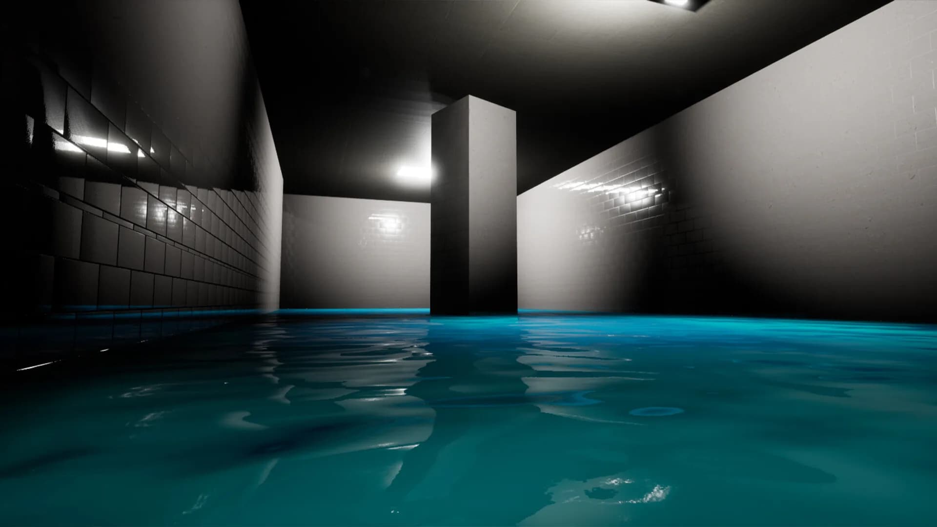 AQUARIUMS görsel 11