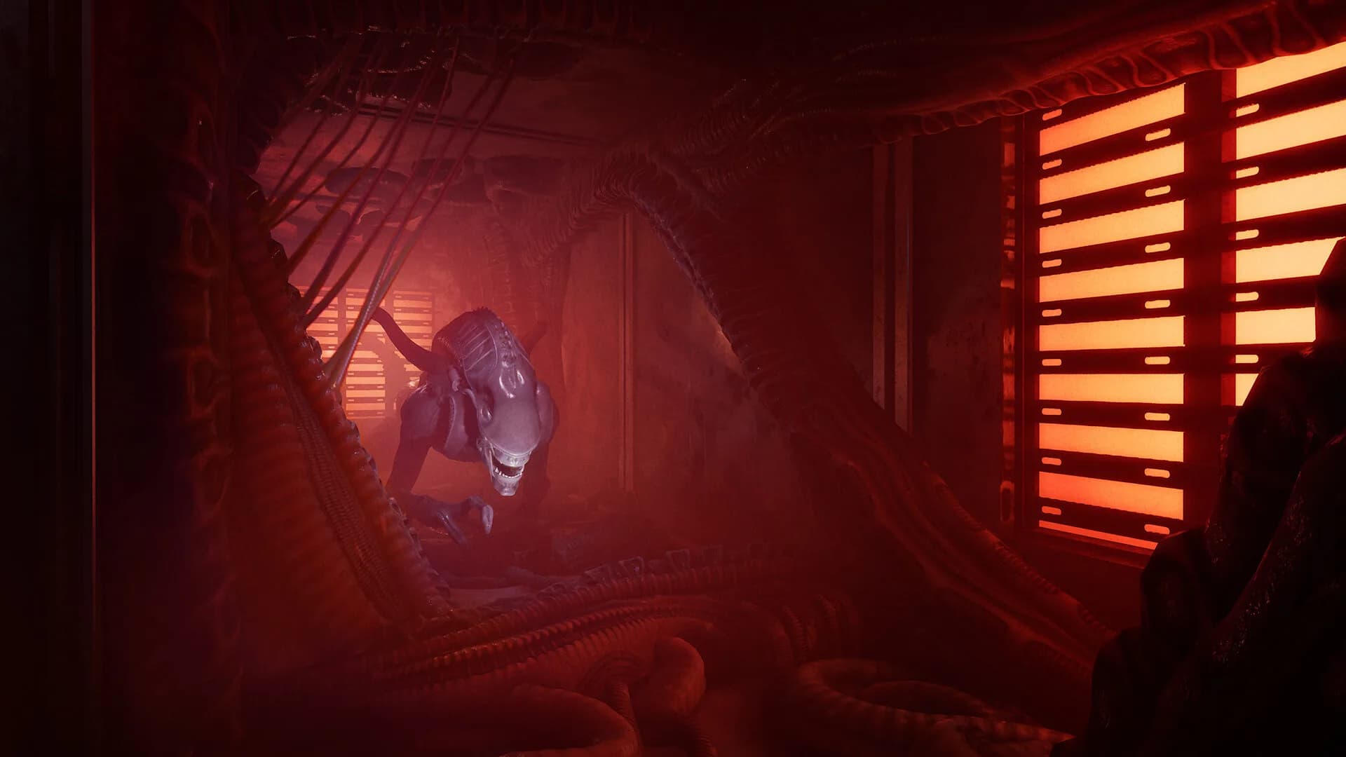 Alien: Rogue Incursion Evolved Edition görsel 13