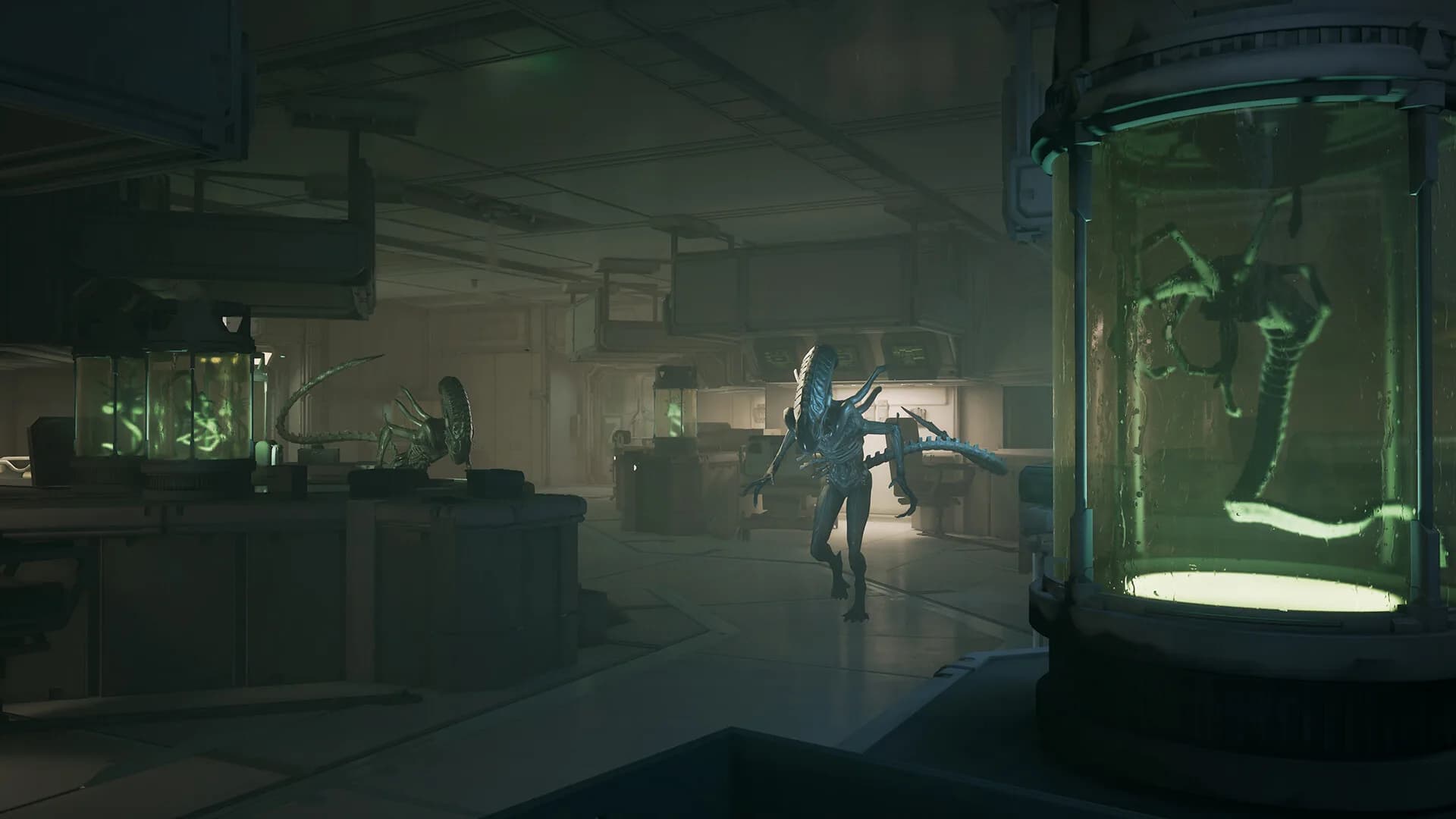 Alien: Rogue Incursion Evolved Edition görsel 14
