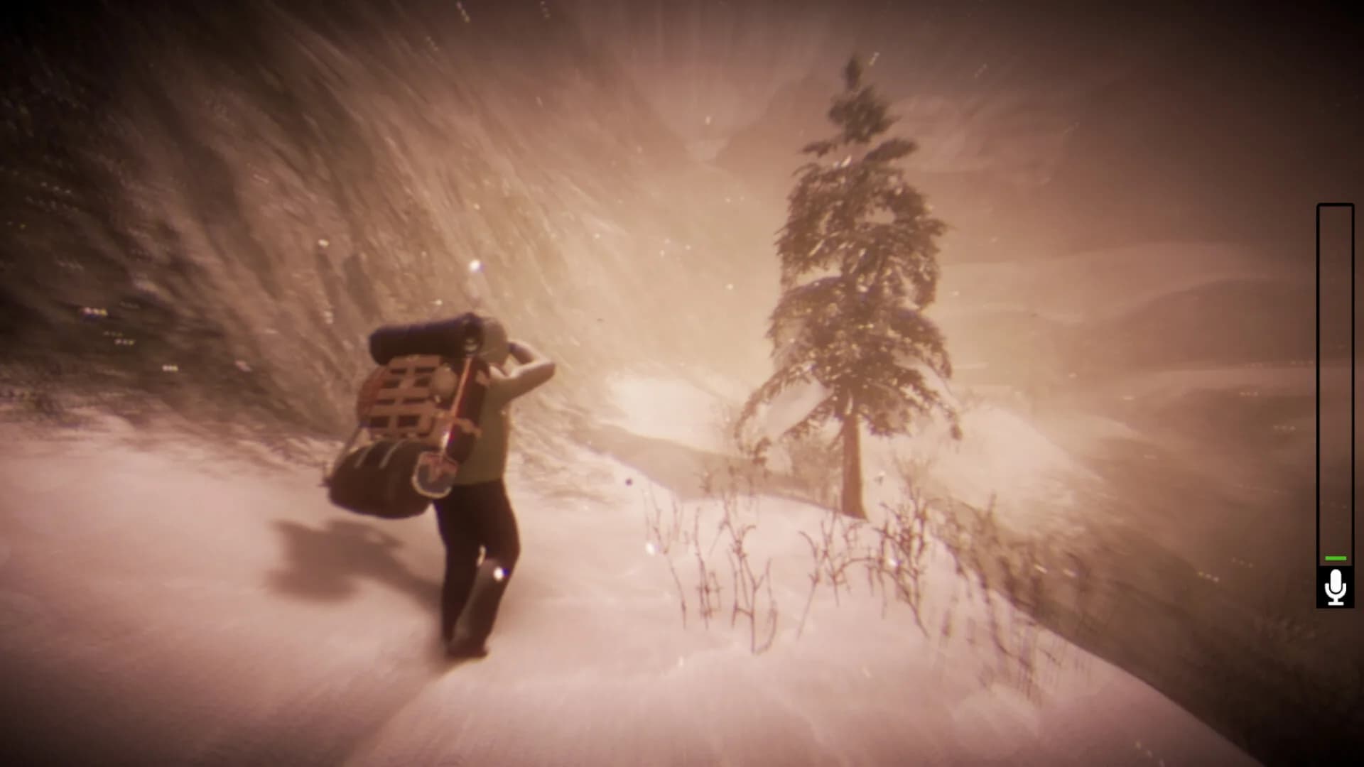 Tales Beyond The Tomb - White Silence görsel 7