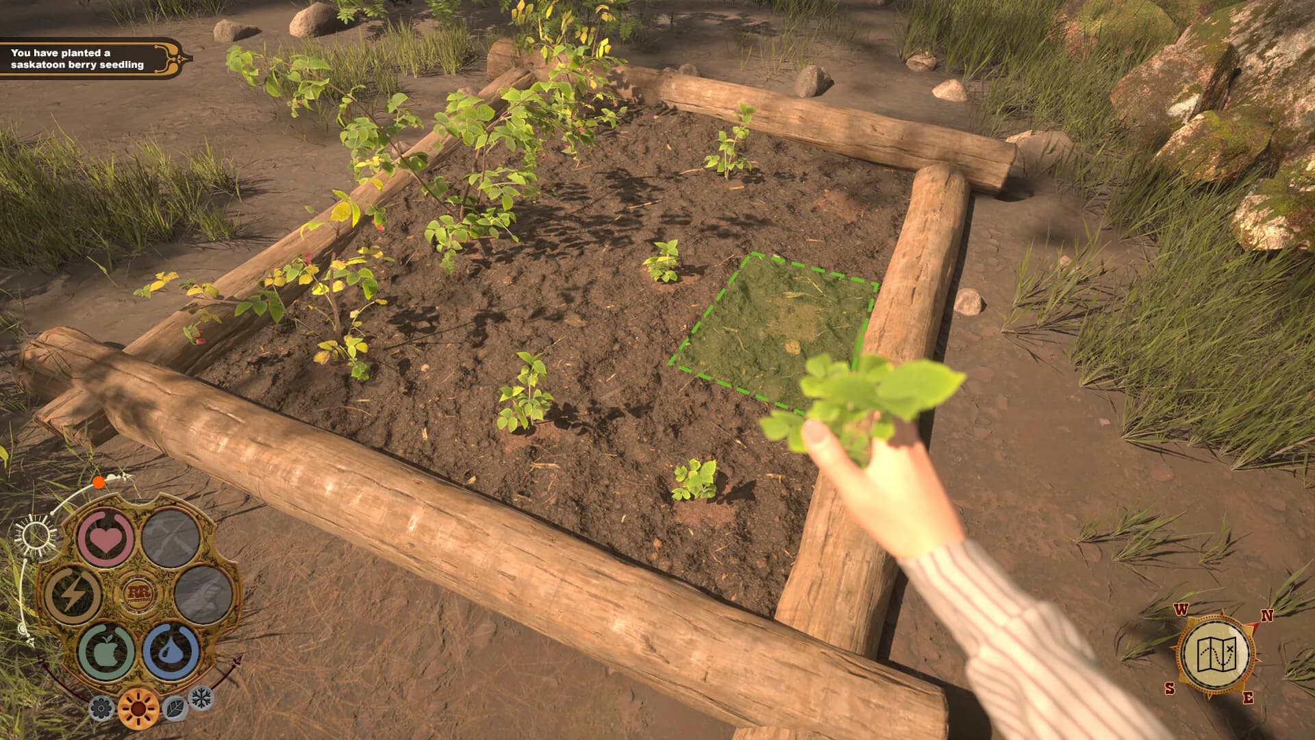 Red Rust Pioneers görsel 11