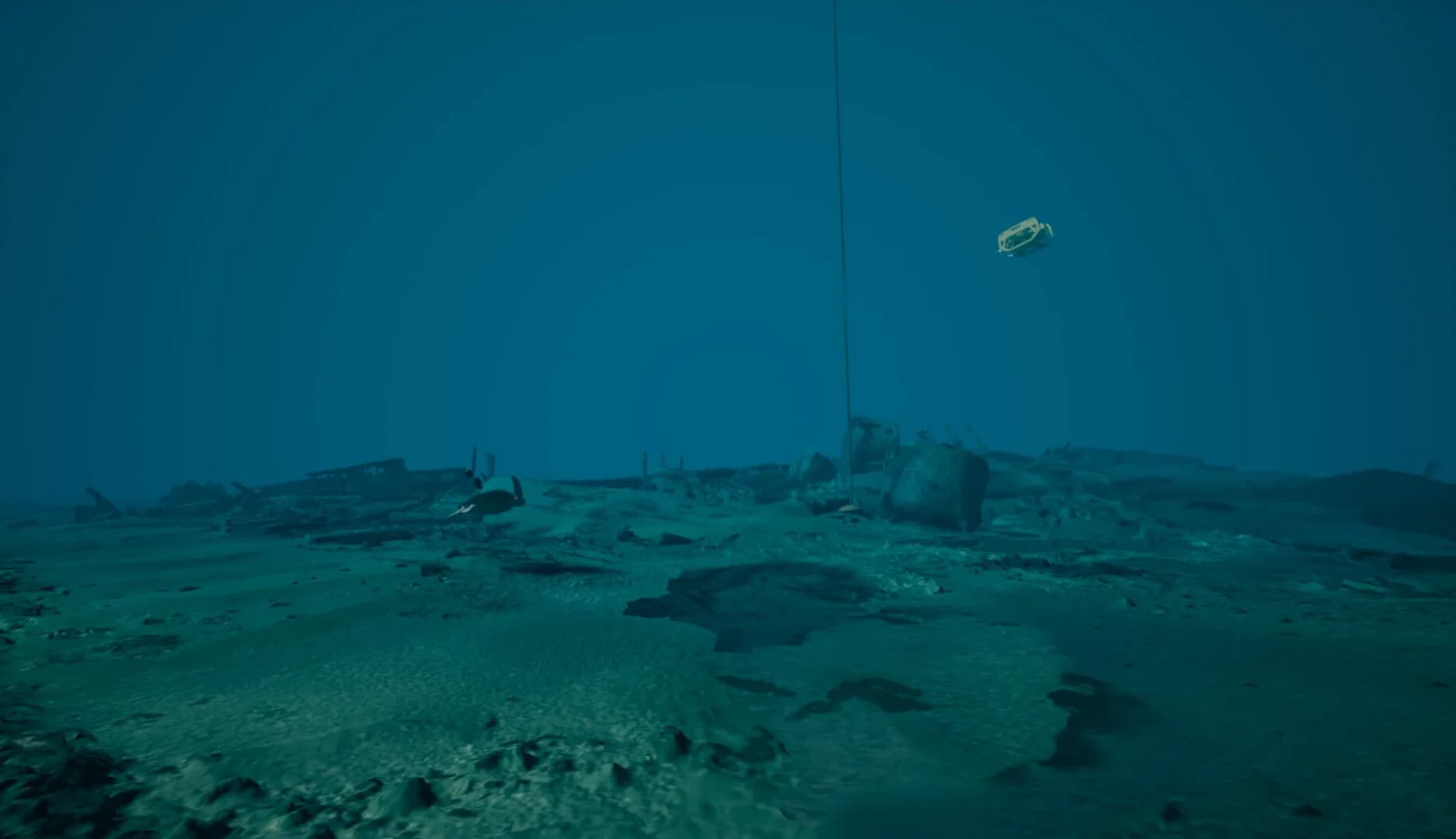 Kodas Nereus görsel 2