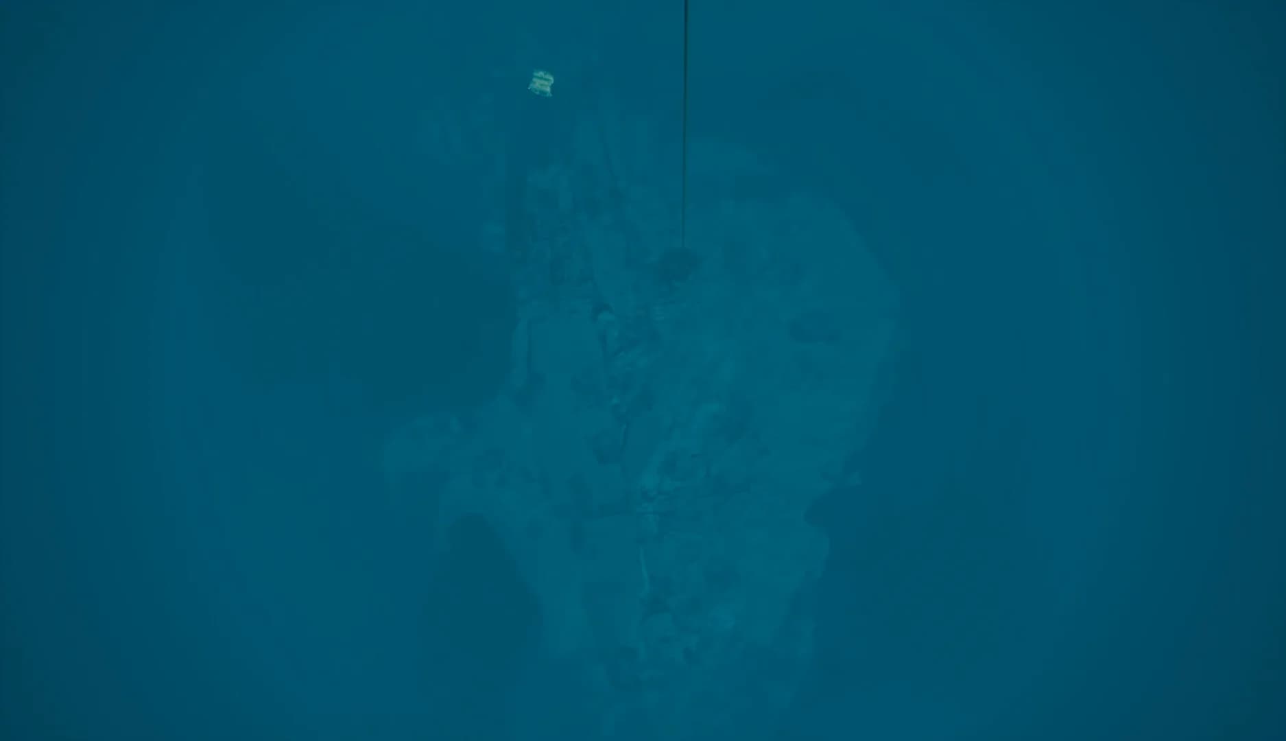Kodas Nereus görsel 3