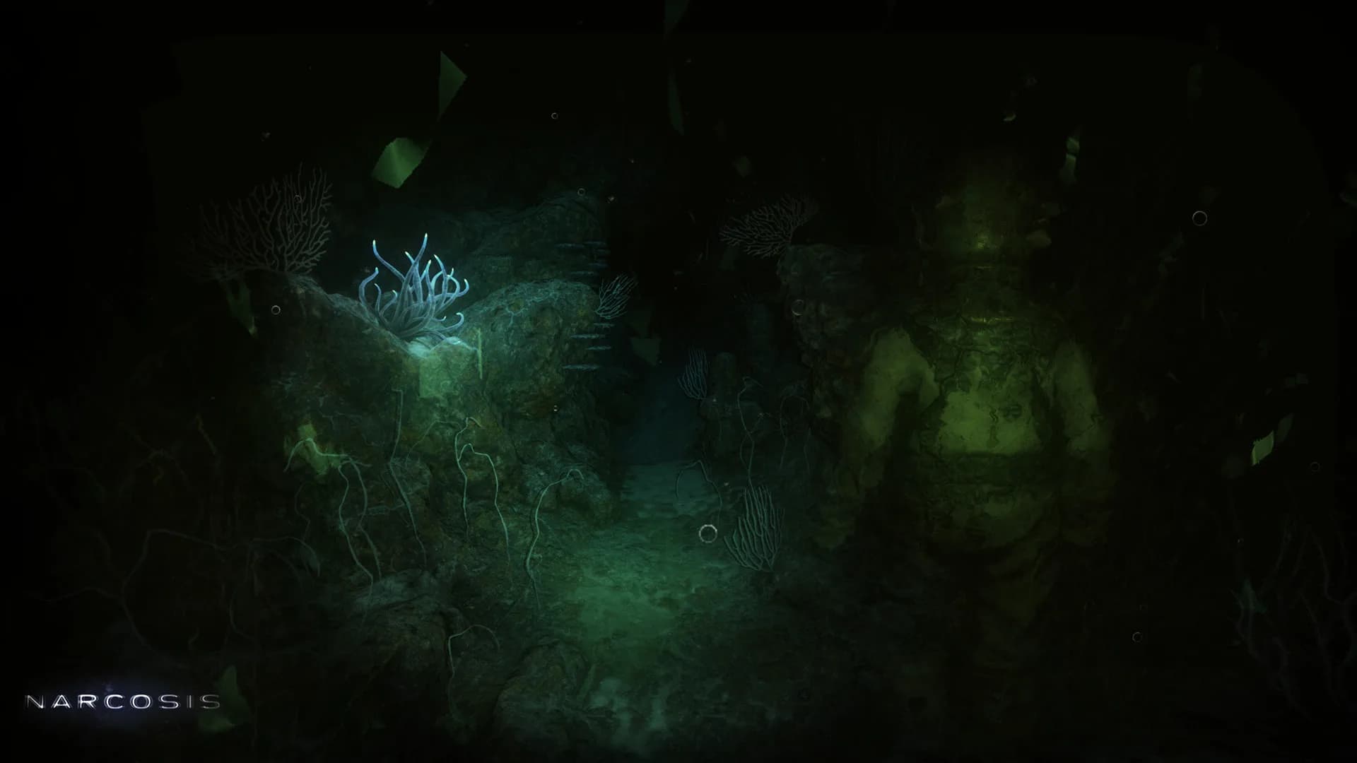 Narcosis görsel 13