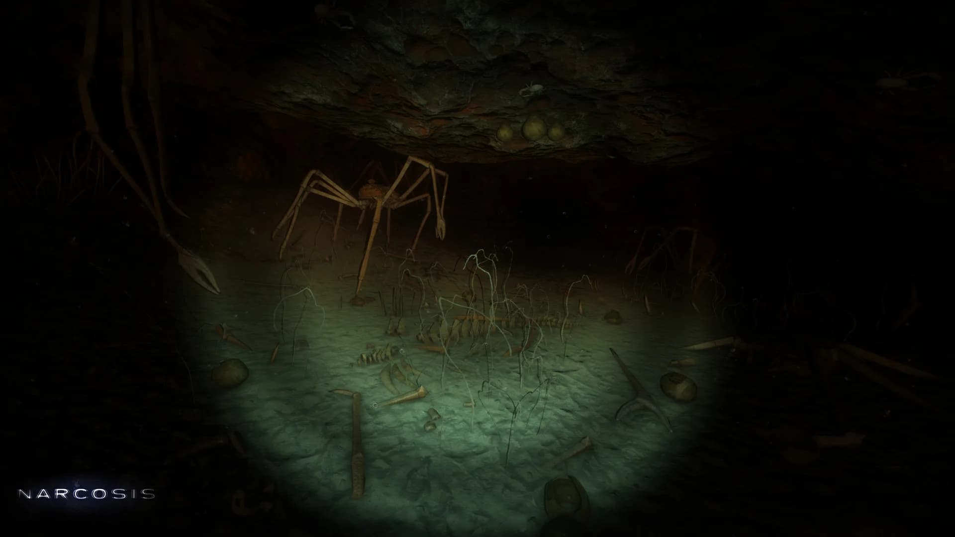 Narcosis görsel 11