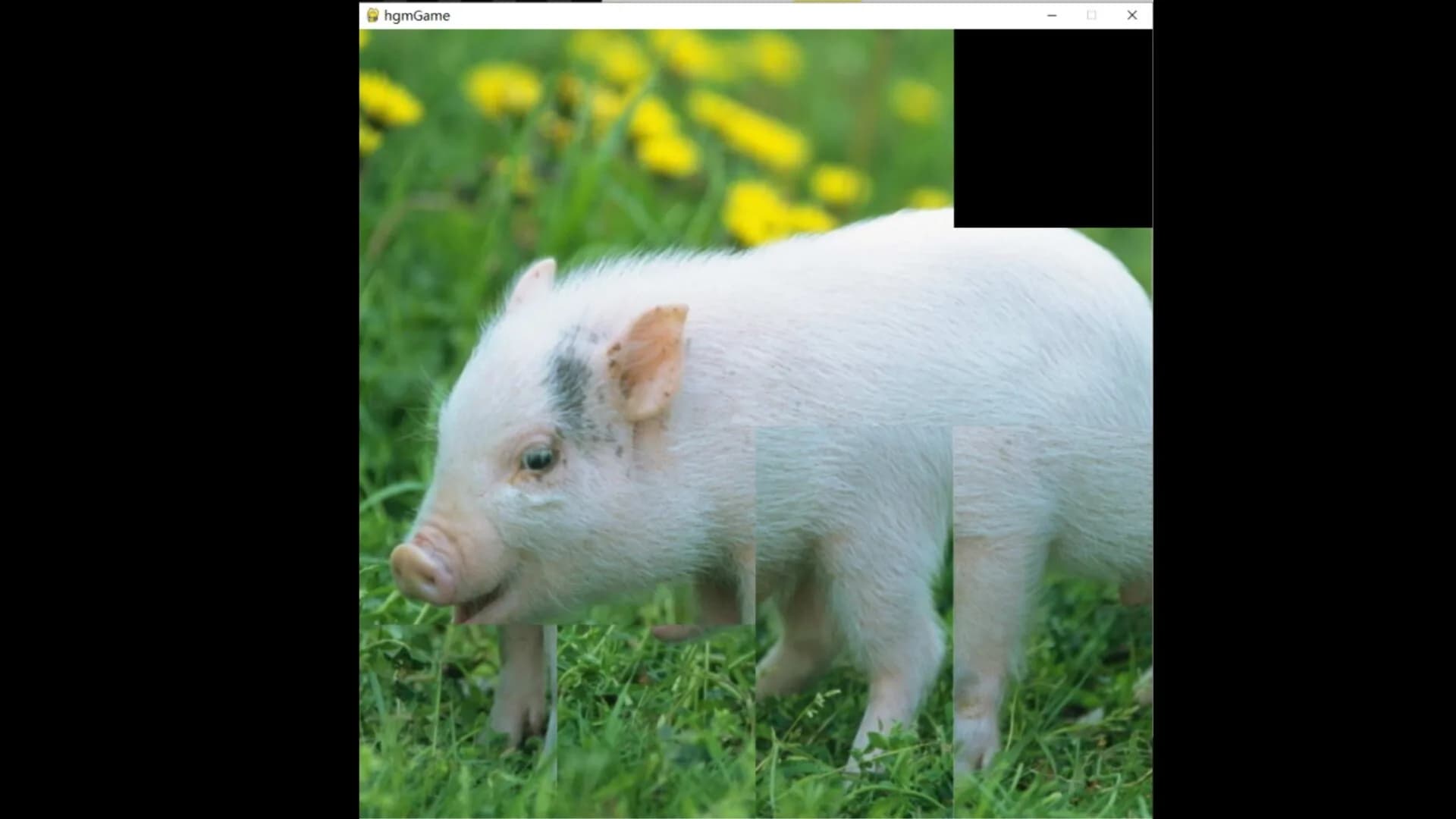 hgmGame-pig görsel 2