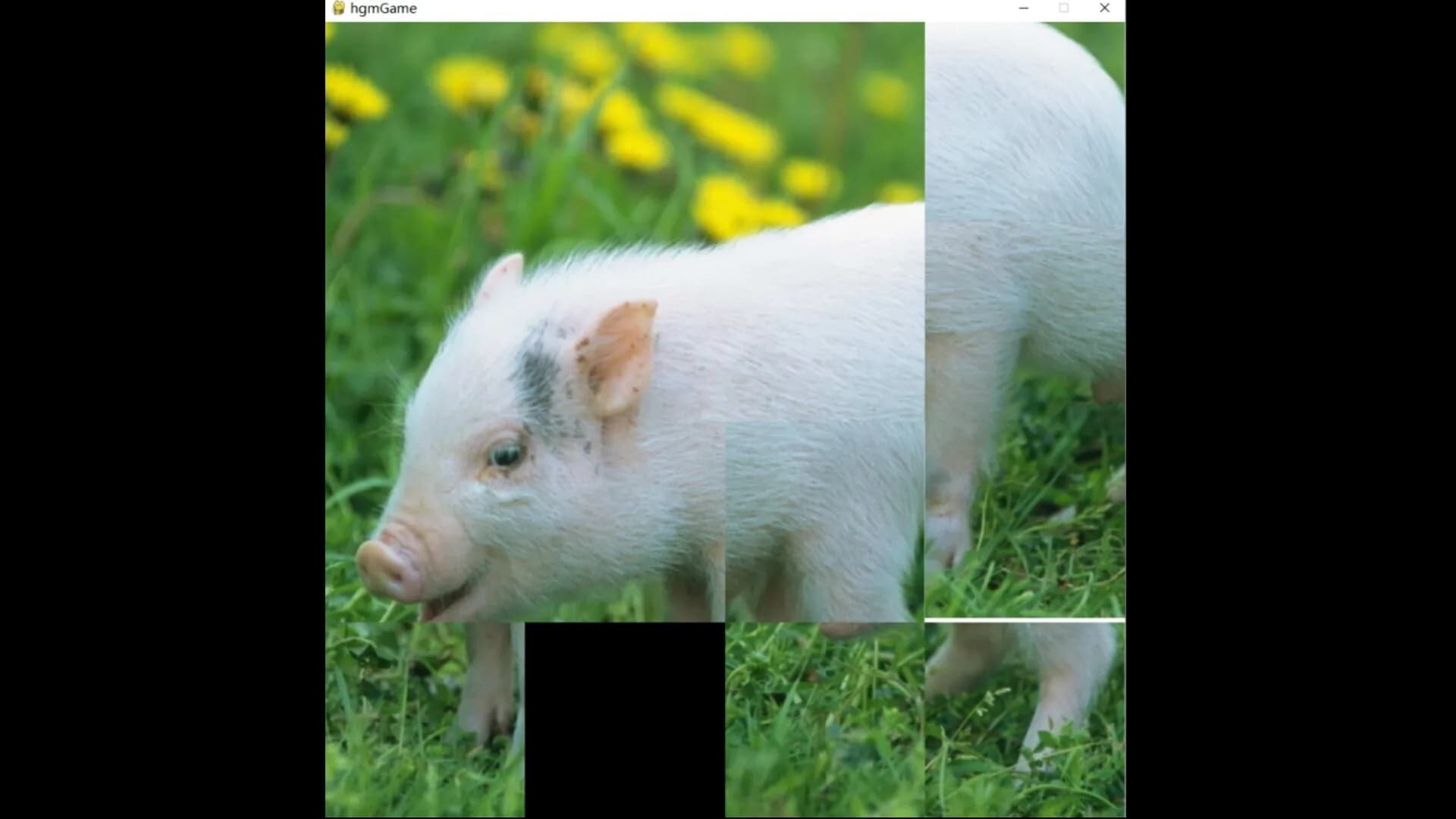 hgmGame-pig görsel 3