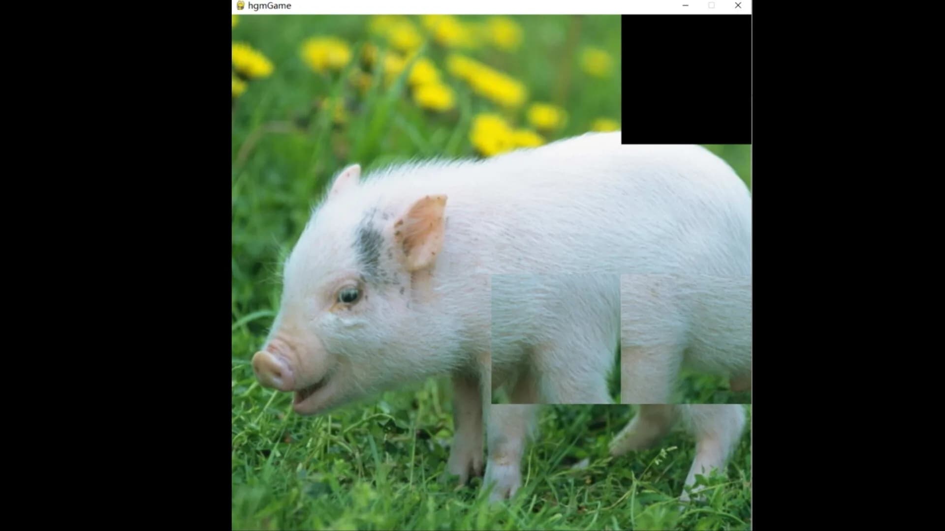 hgmGame-pig görsel 4