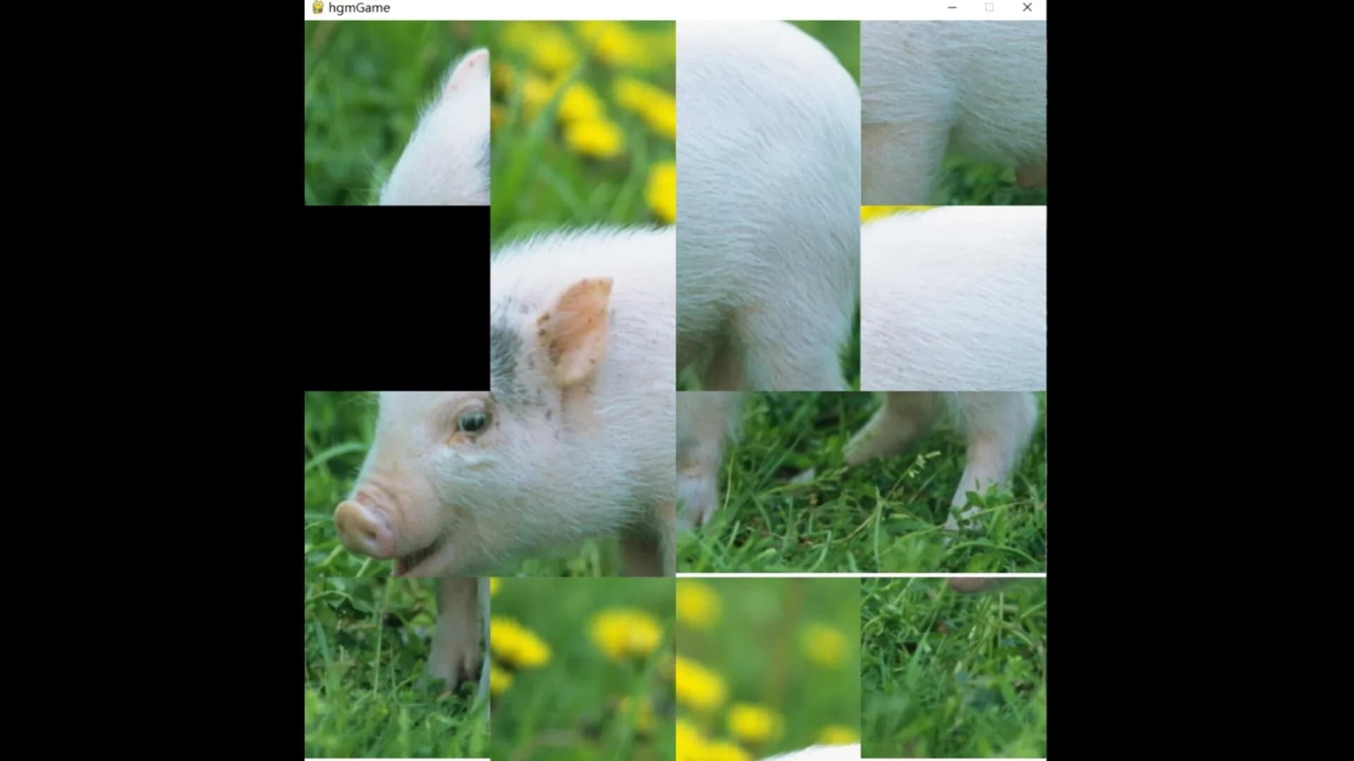 hgmGame-pig görsel 6