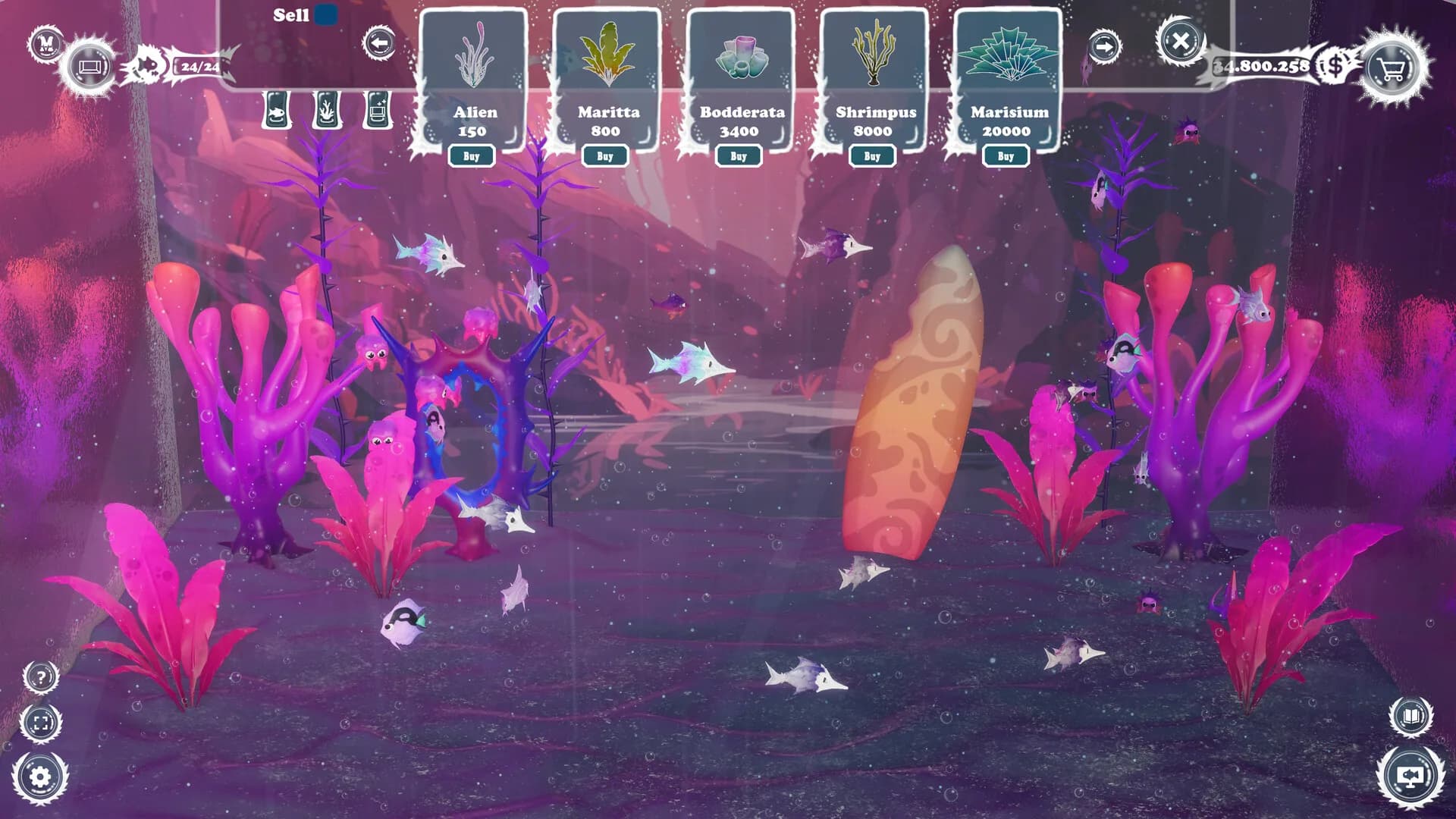 Aquanima görsel 7