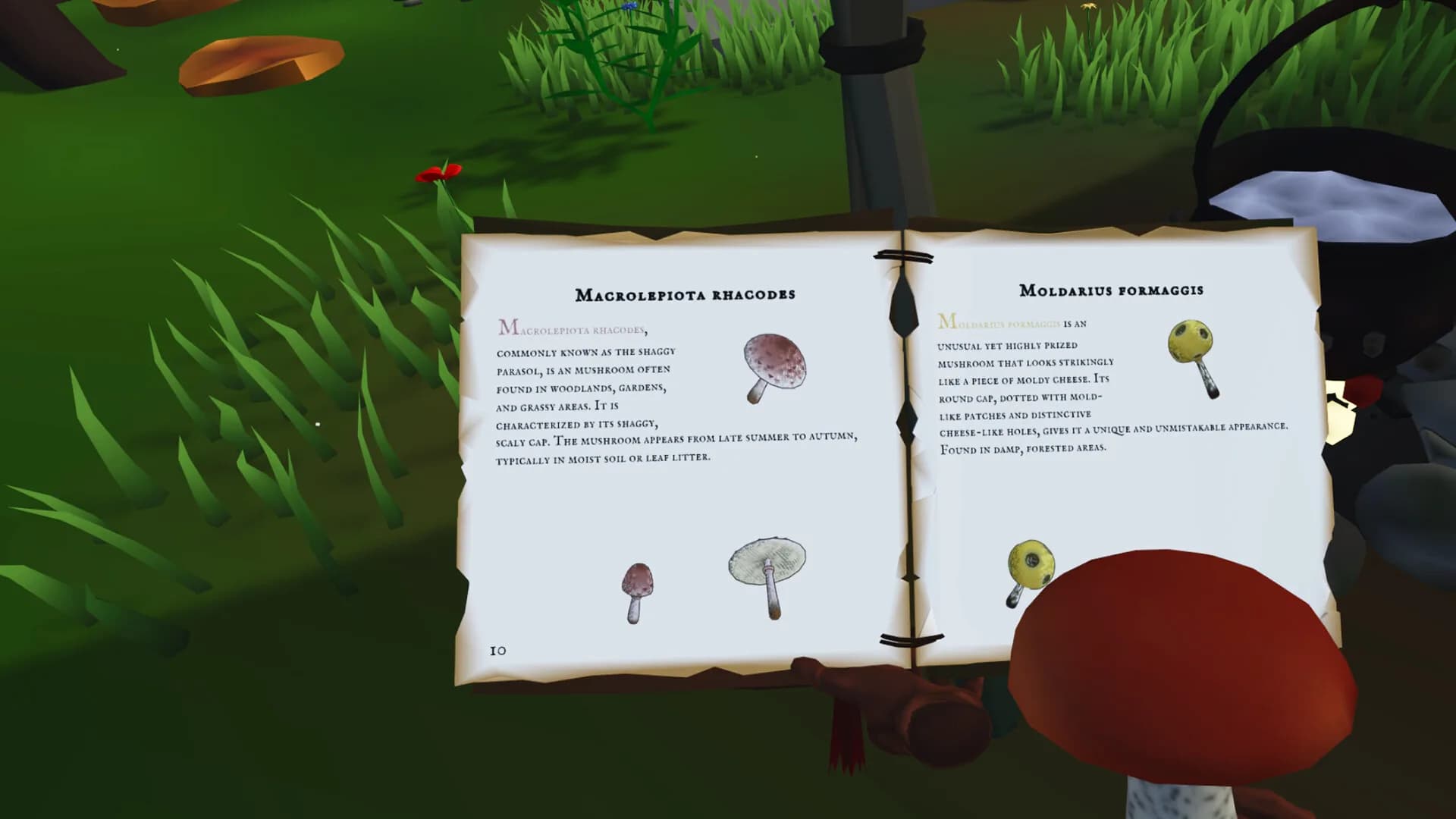 Shroomer görsel 4