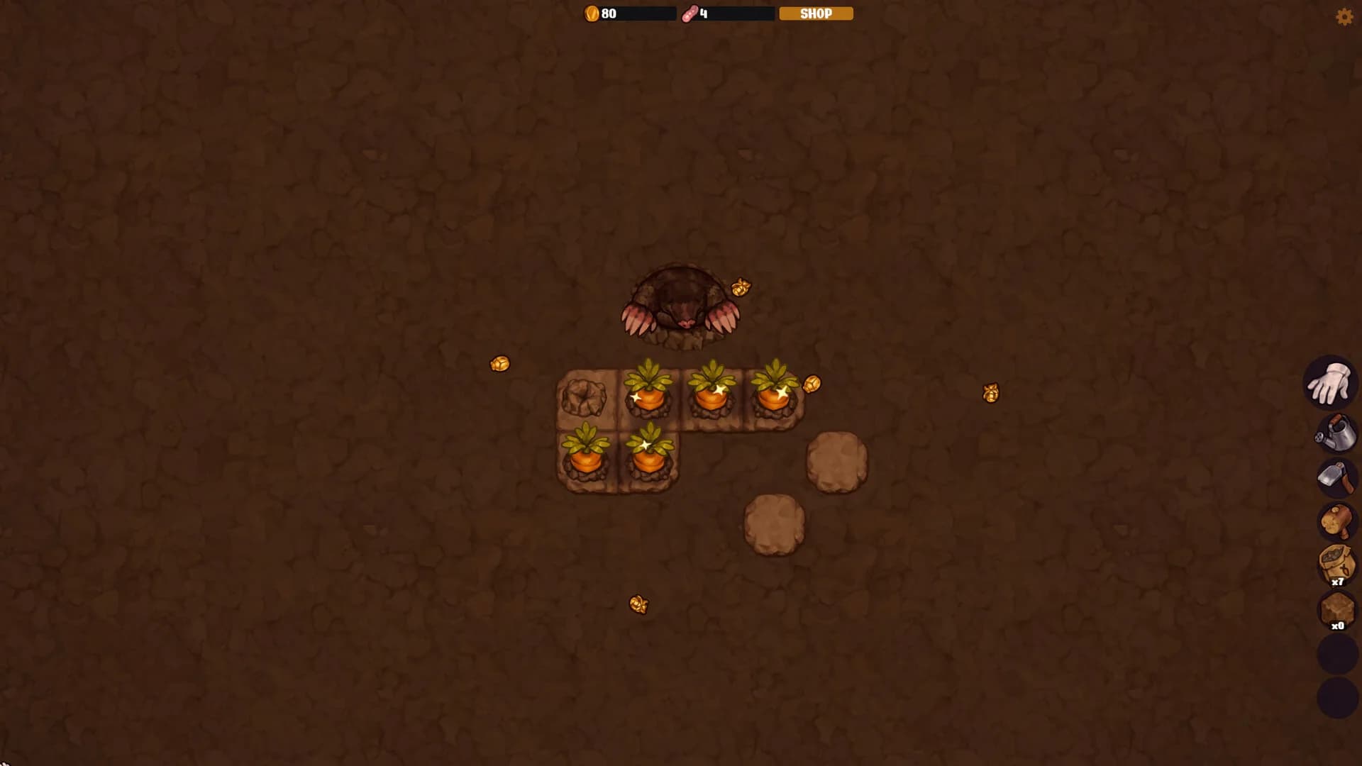 VEGEMANCER görsel 2