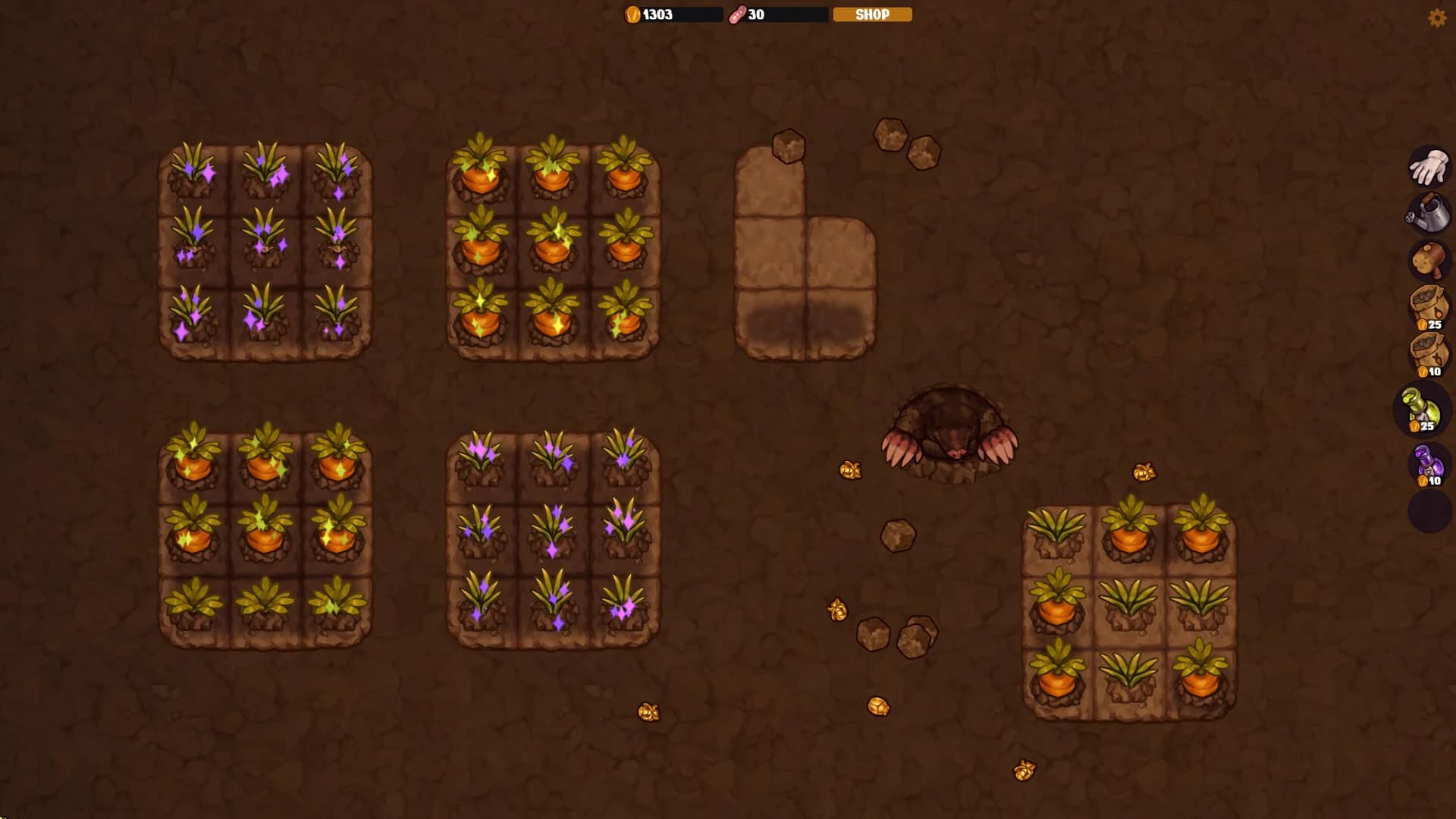 VEGEMANCER görsel 6
