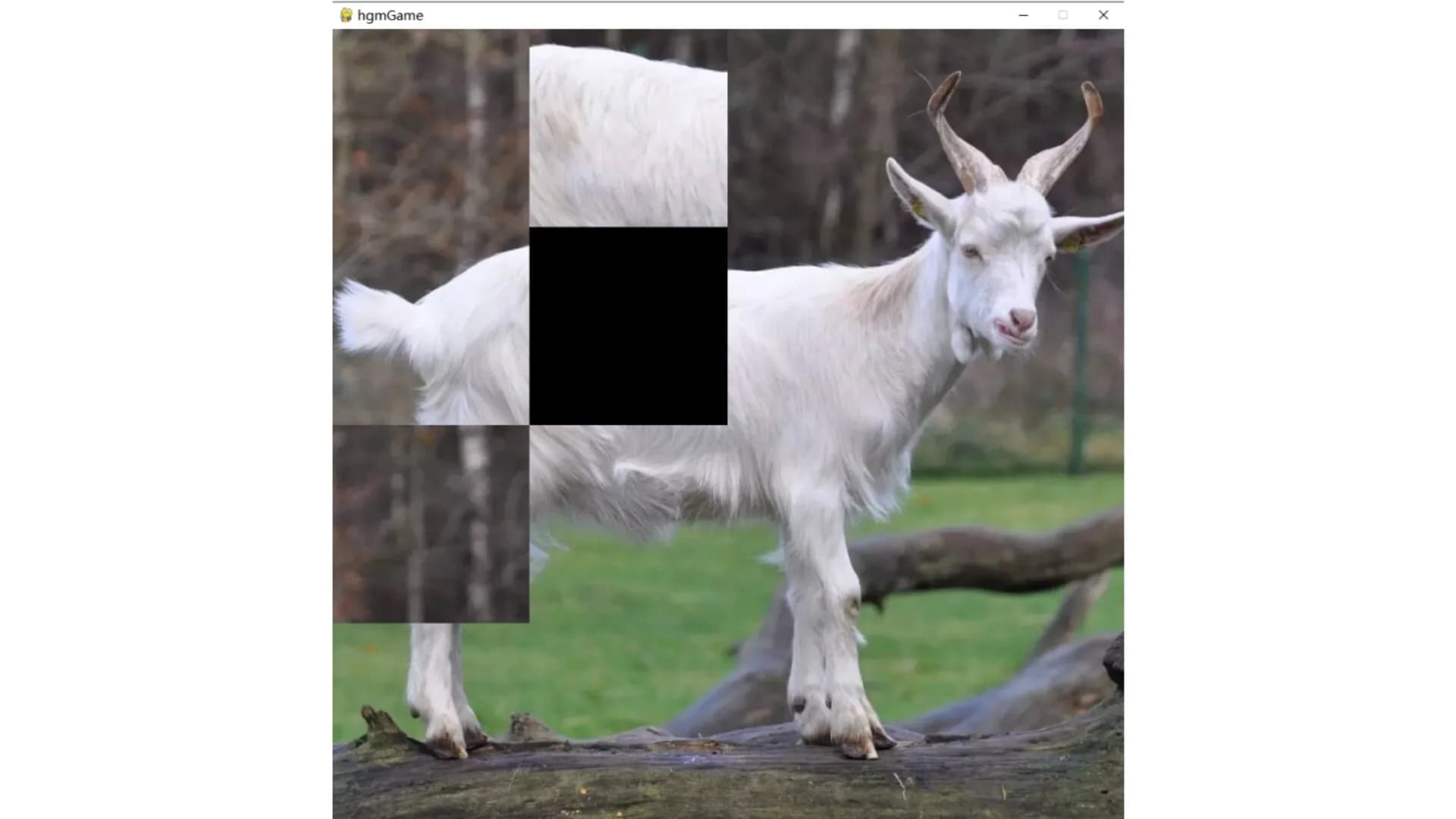 hgmGame-sheep görsel 4