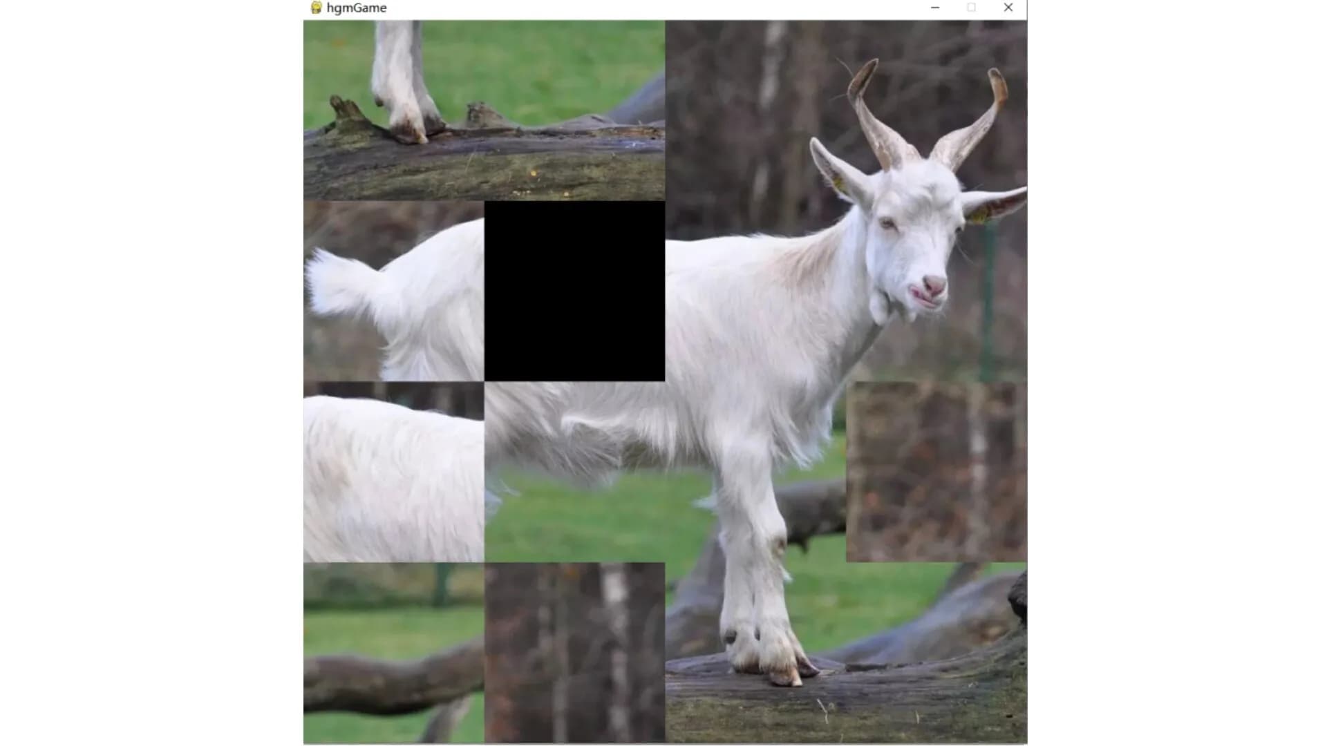 hgmGame-sheep görsel 5