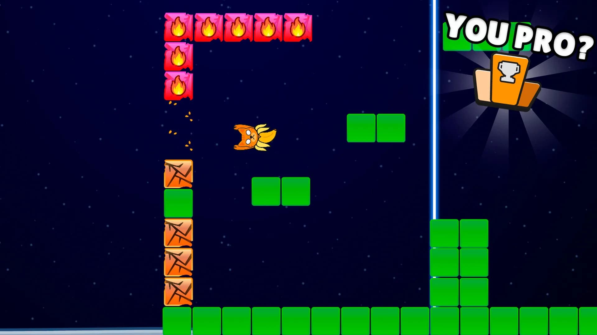 Borsiis Dash görsel 6