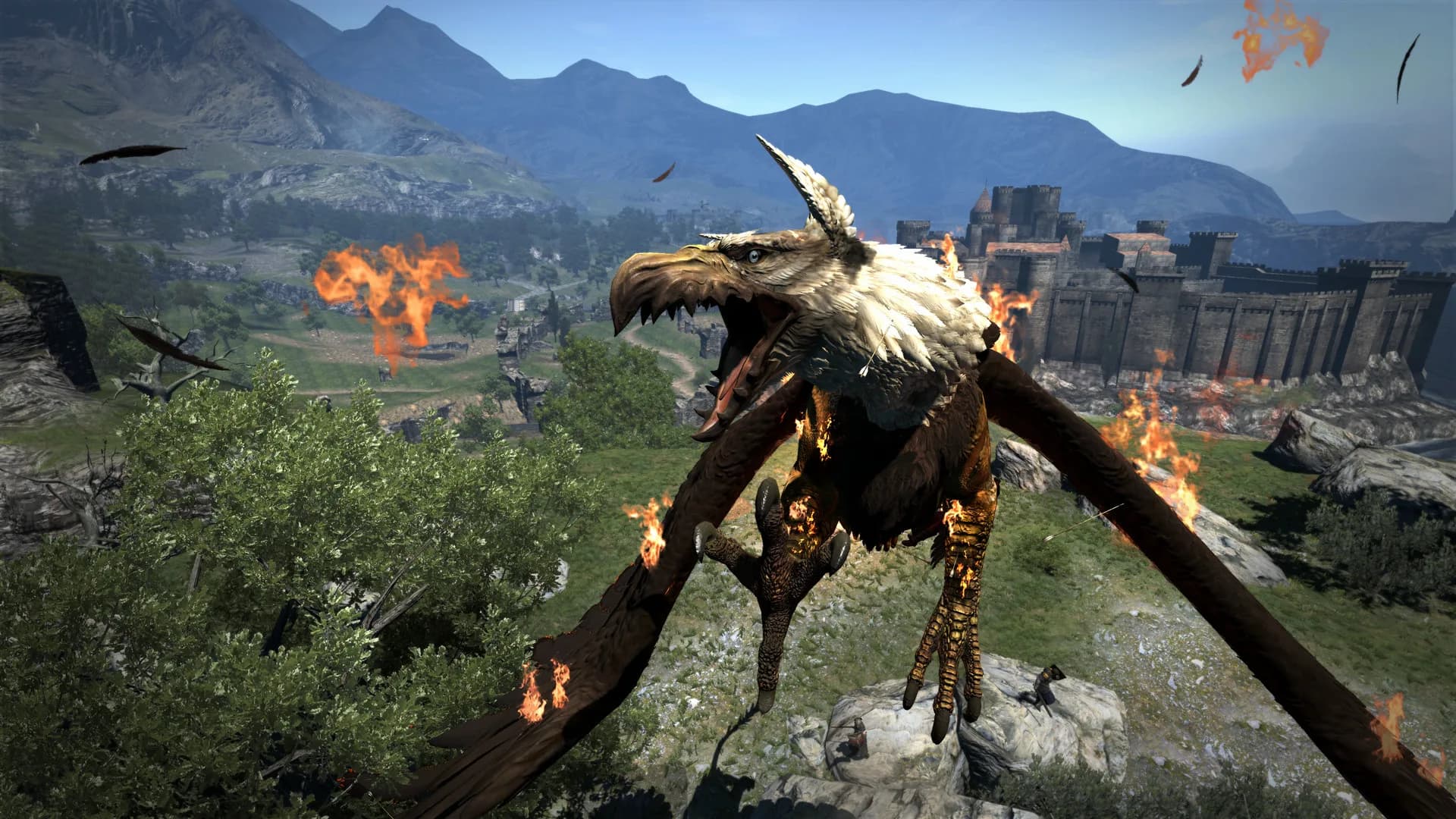 Dragon's Dogma: Dark Arisen görsel 10
